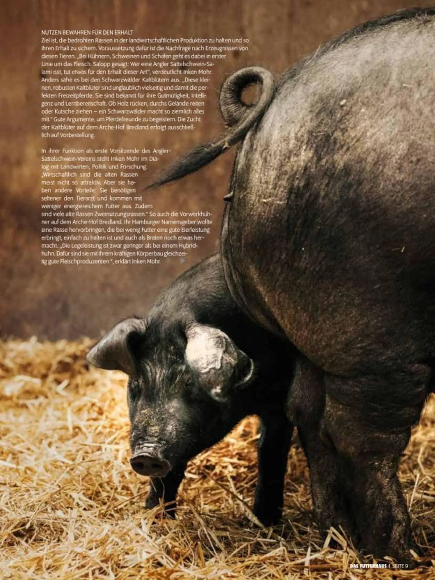 Das Futterhaus Prospekt von 3. Oktober bis 30. November 2025 - Flugblätt seite 9