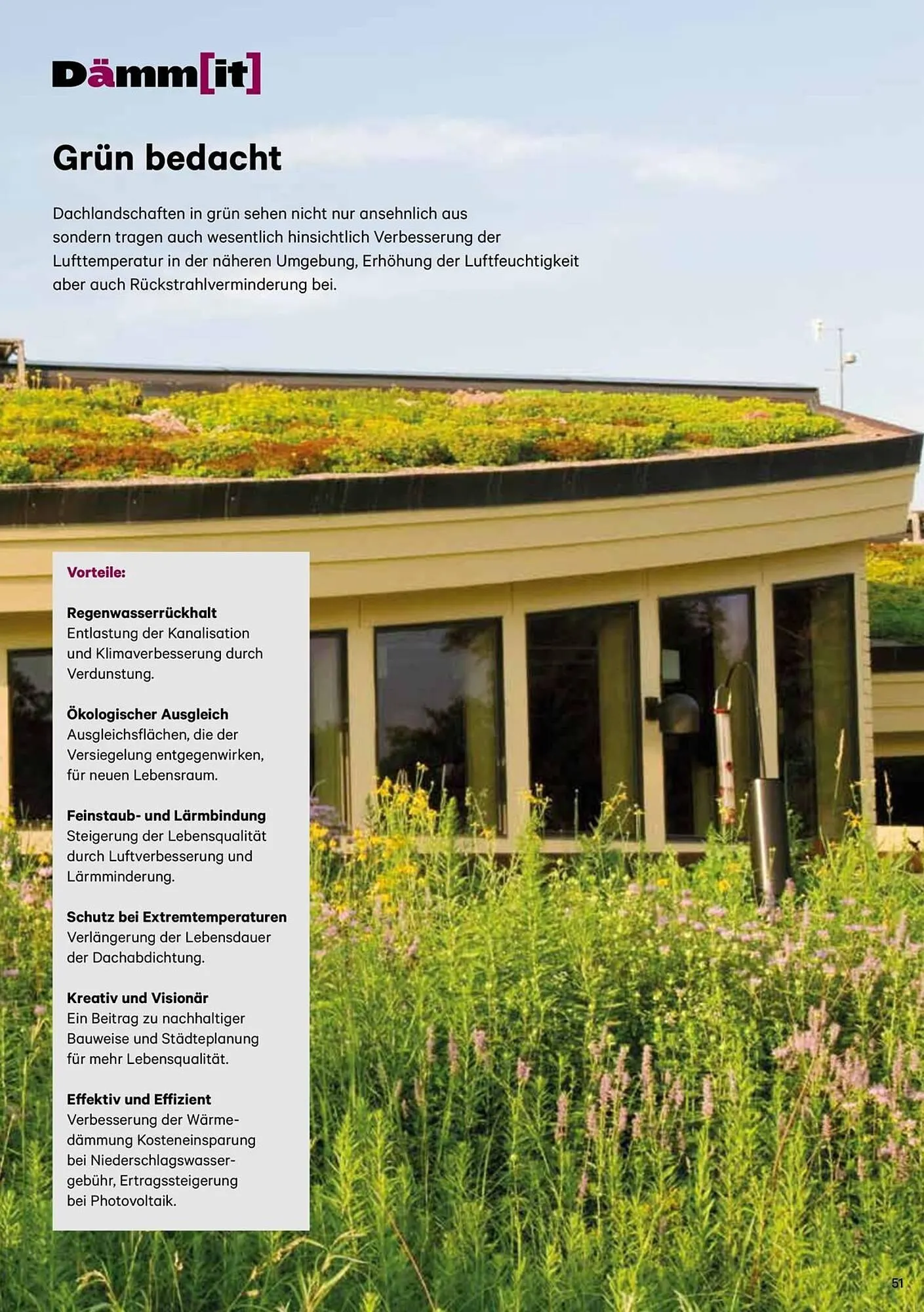 Lagerhaus Graz Land Flugblatt von 22. März bis 31. Dezember 2025 - Flugblätt seite  51