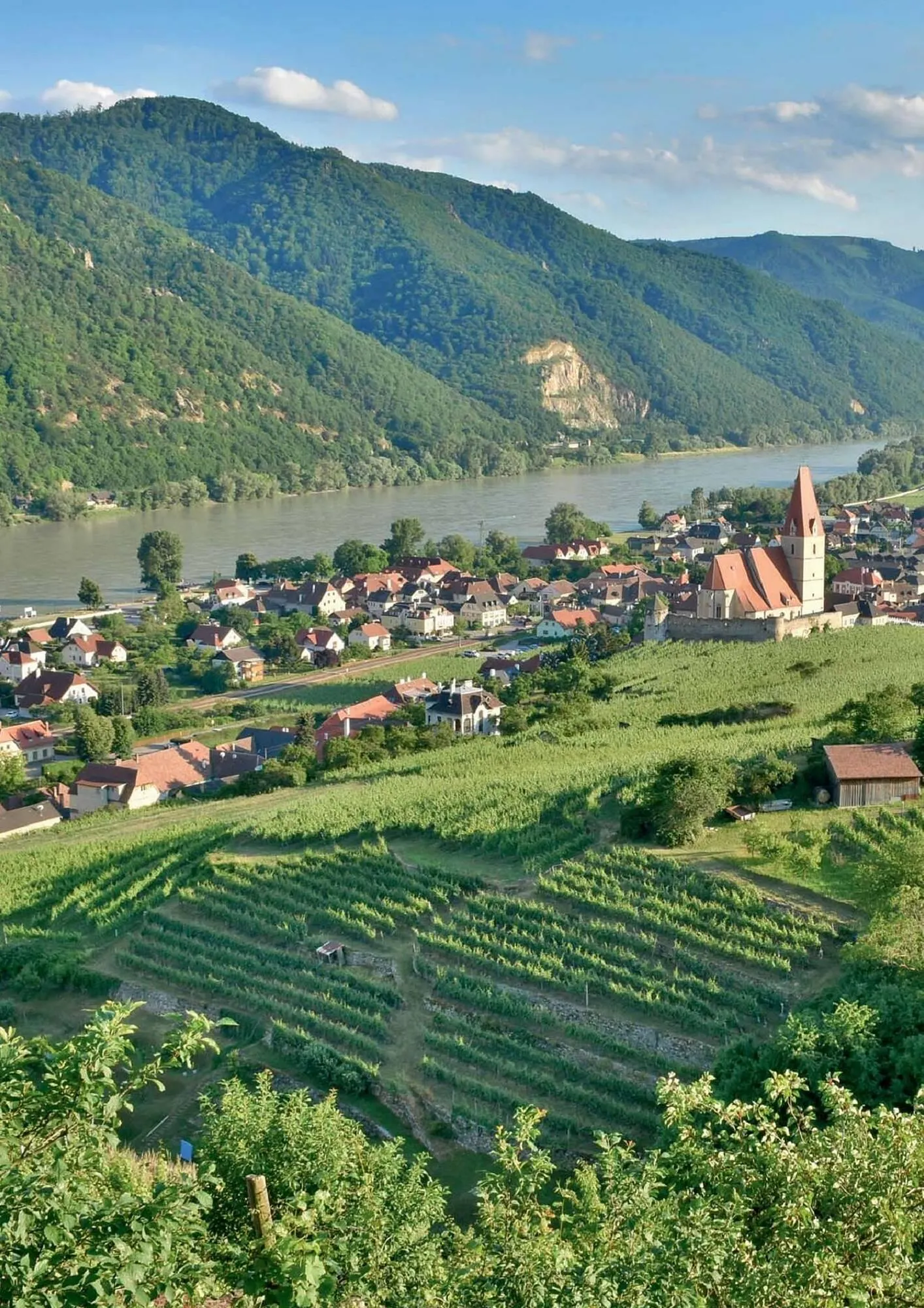 Kastner Flugblatt von 1. Juli bis 30. Dezember 2024 - Flugblätt seite  28