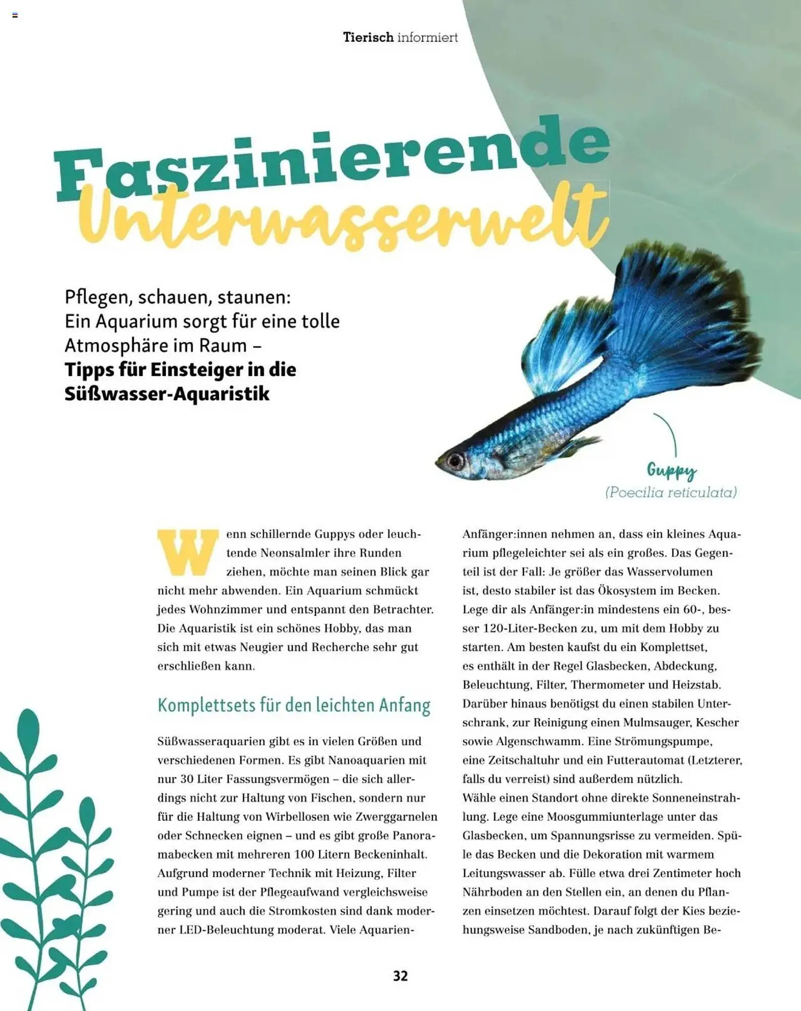 Fressnapf Flugblatt von 2. Jänner bis 2. März 2025 - Flugblätt seite 32