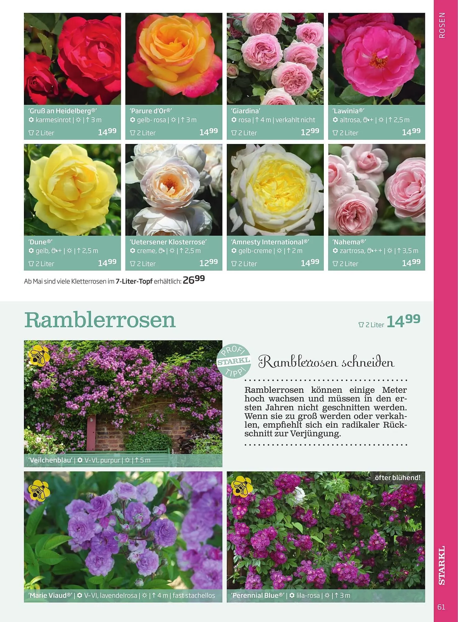 Starkl Flugblatt von 1. Jänner bis 31. Dezember 2023 - Flugblätt seite  61