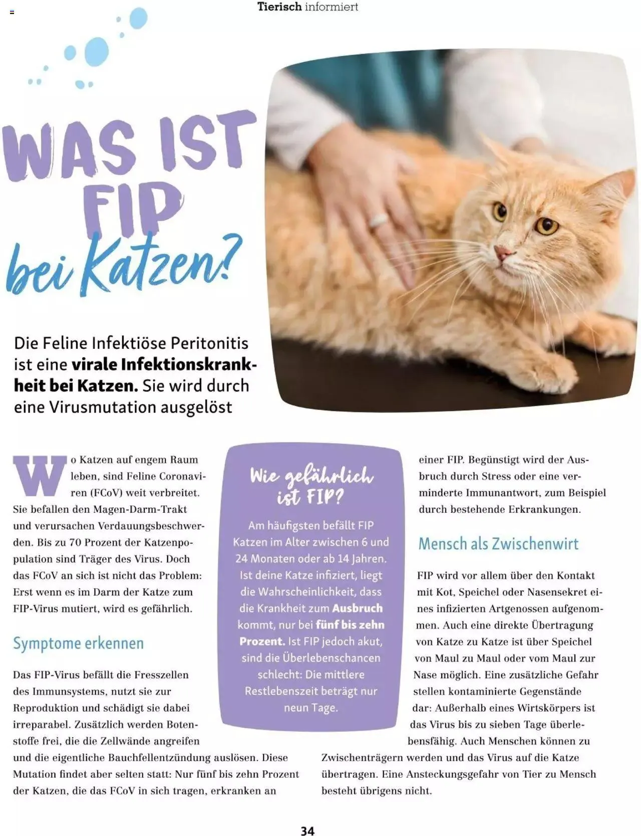 Fressnapf Friends 02/2023 von 1. März bis 31. Dezember 2023 - Flugblätt seite 34