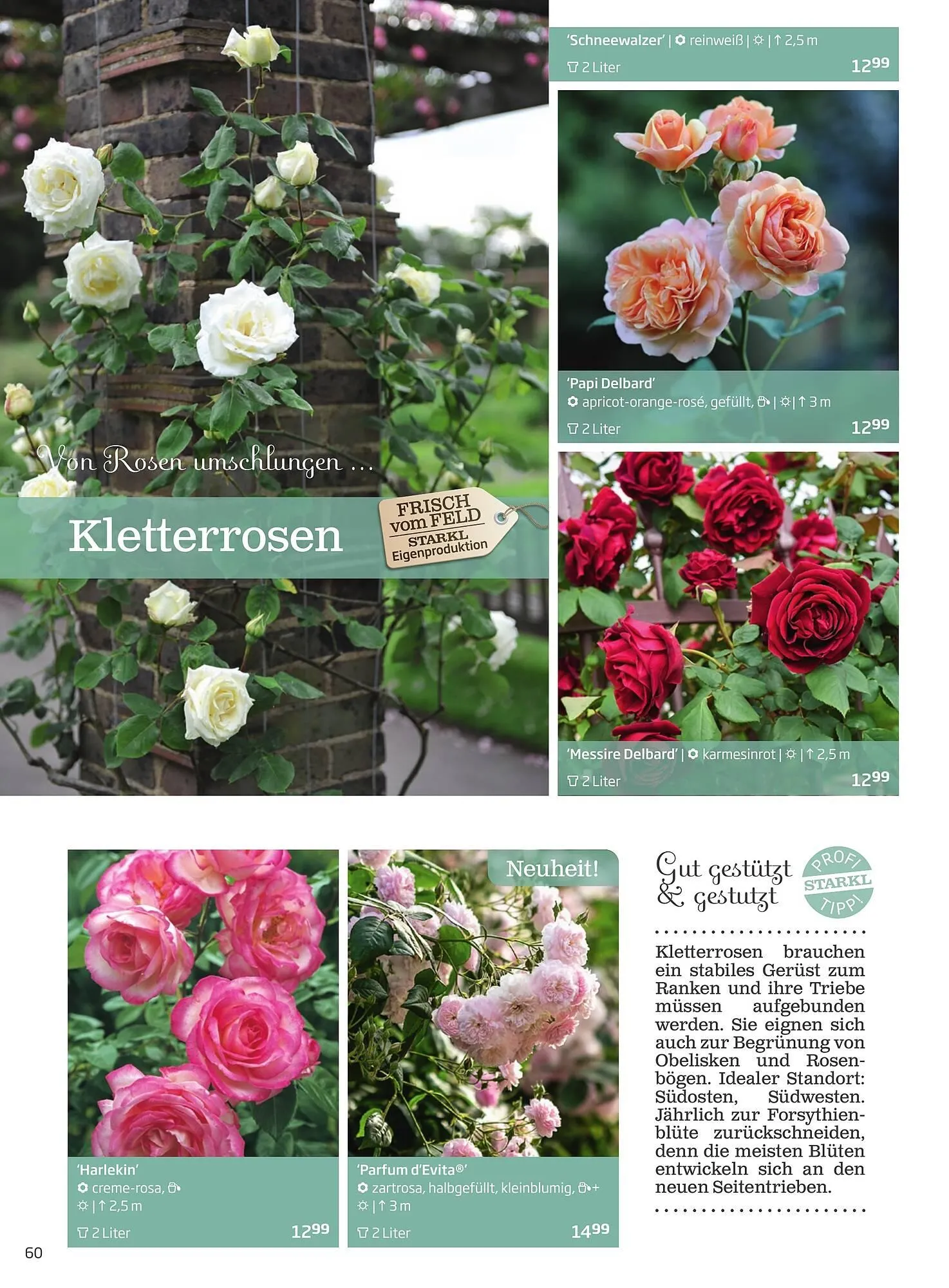 Starkl Flugblatt von 1. Jänner bis 31. Dezember 2023 - Flugblätt seite  60