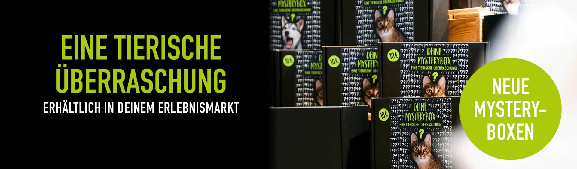 MegaZoo Flugblatt von 17. Dezember bis 6. Jänner 2026 - Flugblätt seite 3