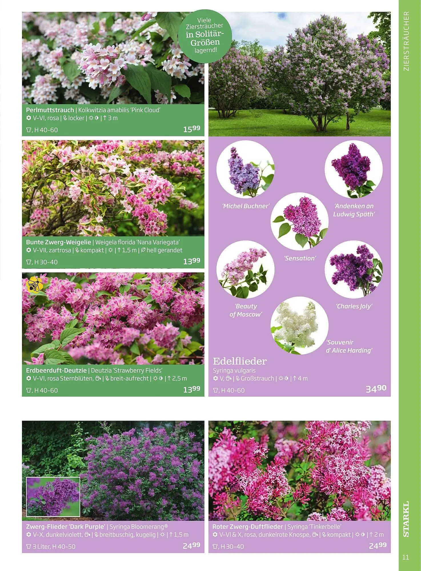 Starkl Flugblatt von 1. Jänner bis 31. Dezember 2023 - Flugblätt seite 11