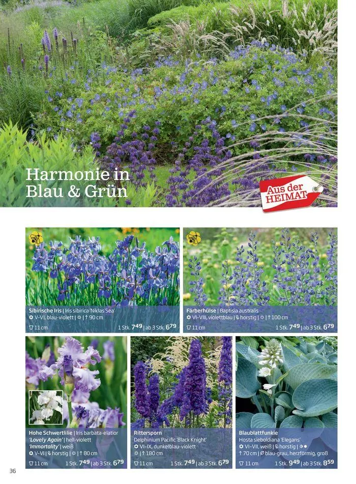 Gartencenter Jahreskatalog 2024 von 20. Mai bis 31. Dezember 2024 - Flugblätt seite  36