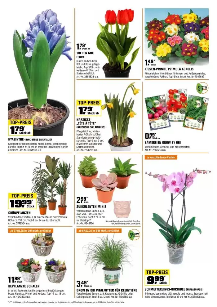 BIBERSTARKE ANGEBOTE von 13. Februar bis 28. Februar 2025 - Flugblätt seite  2