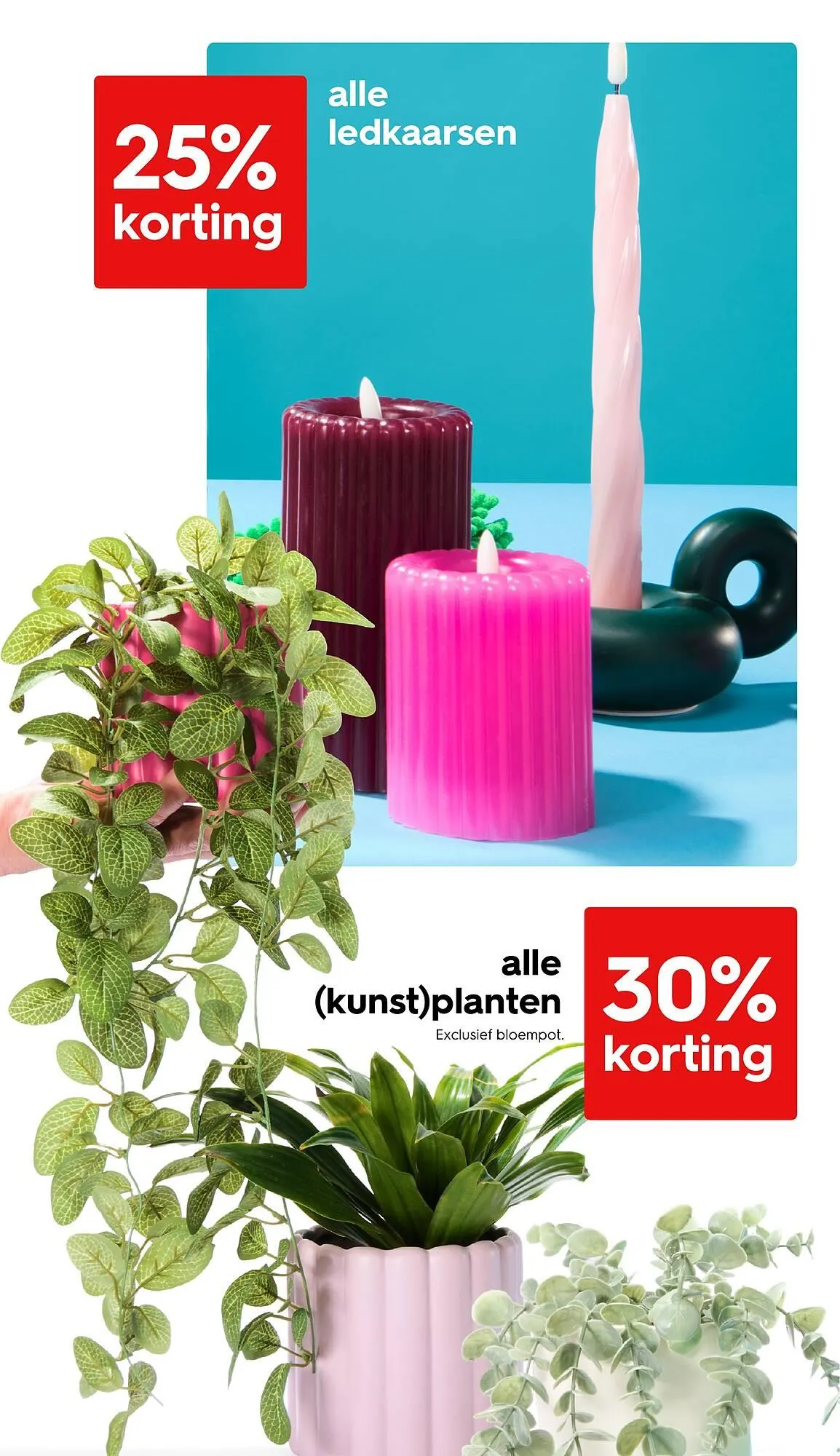 HEMA Flugblatt von 30. Dezember bis 12. Jänner 2025 - Flugblätt seite 14