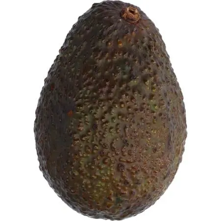Hass Avocado