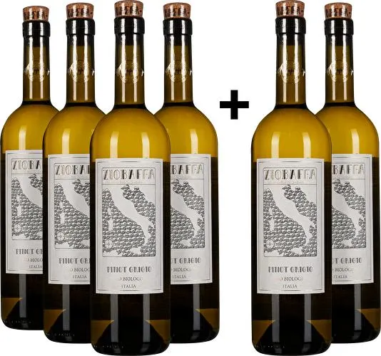 4+2-Set: Pinot Grigio Terre Siciliane 2023