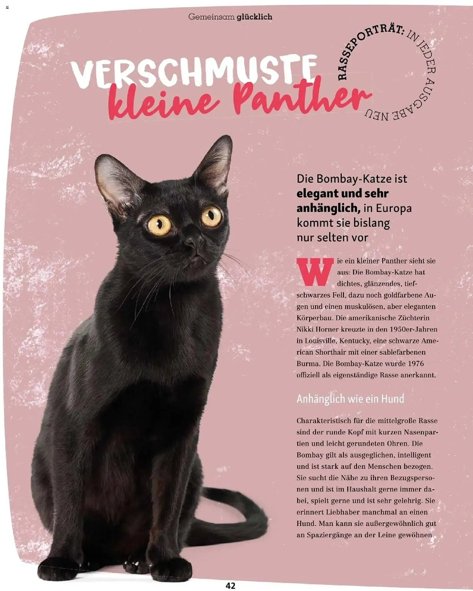 Fressnapf Flugblatt von 1. November bis 31. Dezember 2025 - Flugblätt seite  42