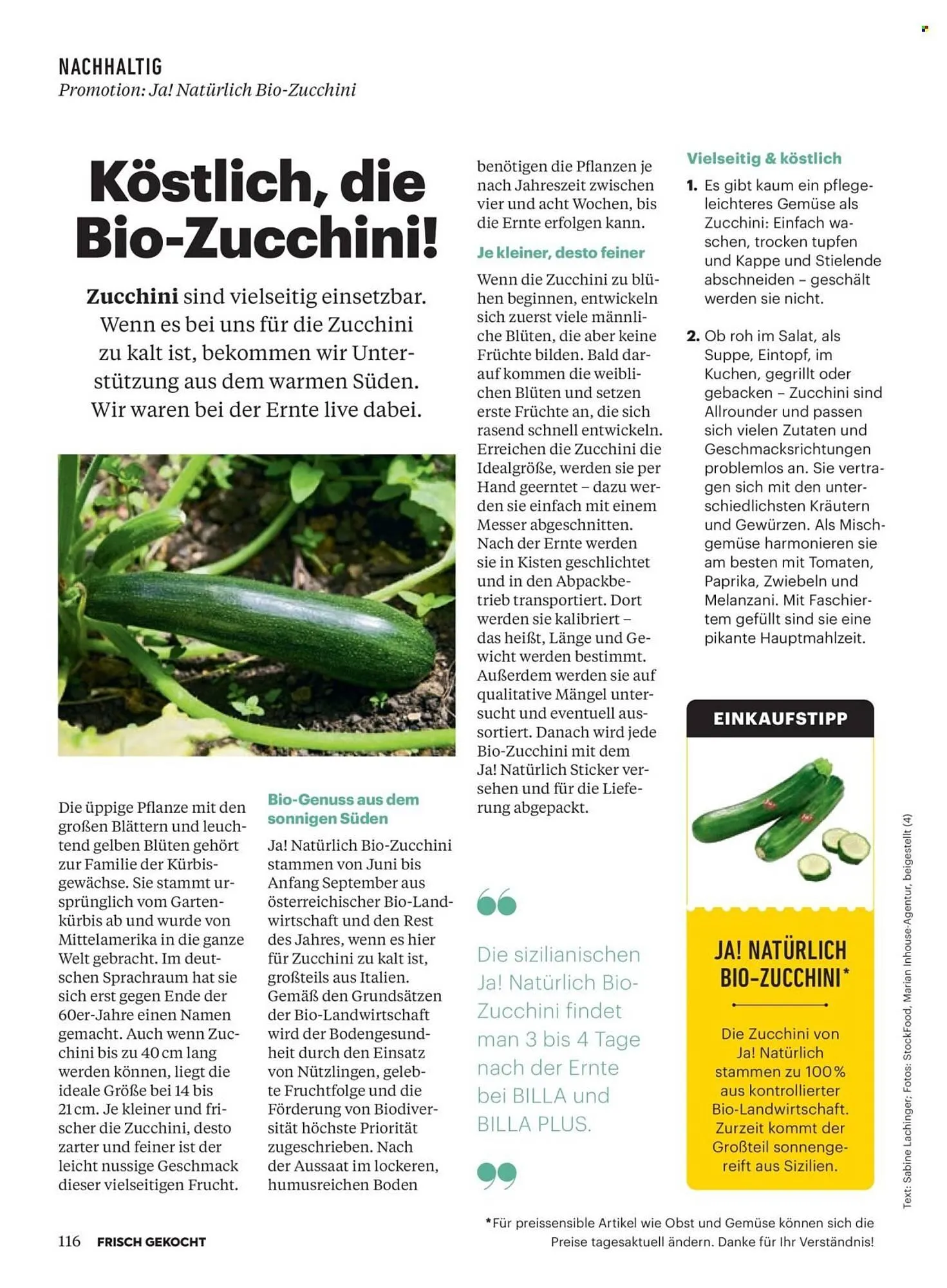 Billa Flugblatt von 1. November bis 30. November 2025 - Flugblätt seite  112