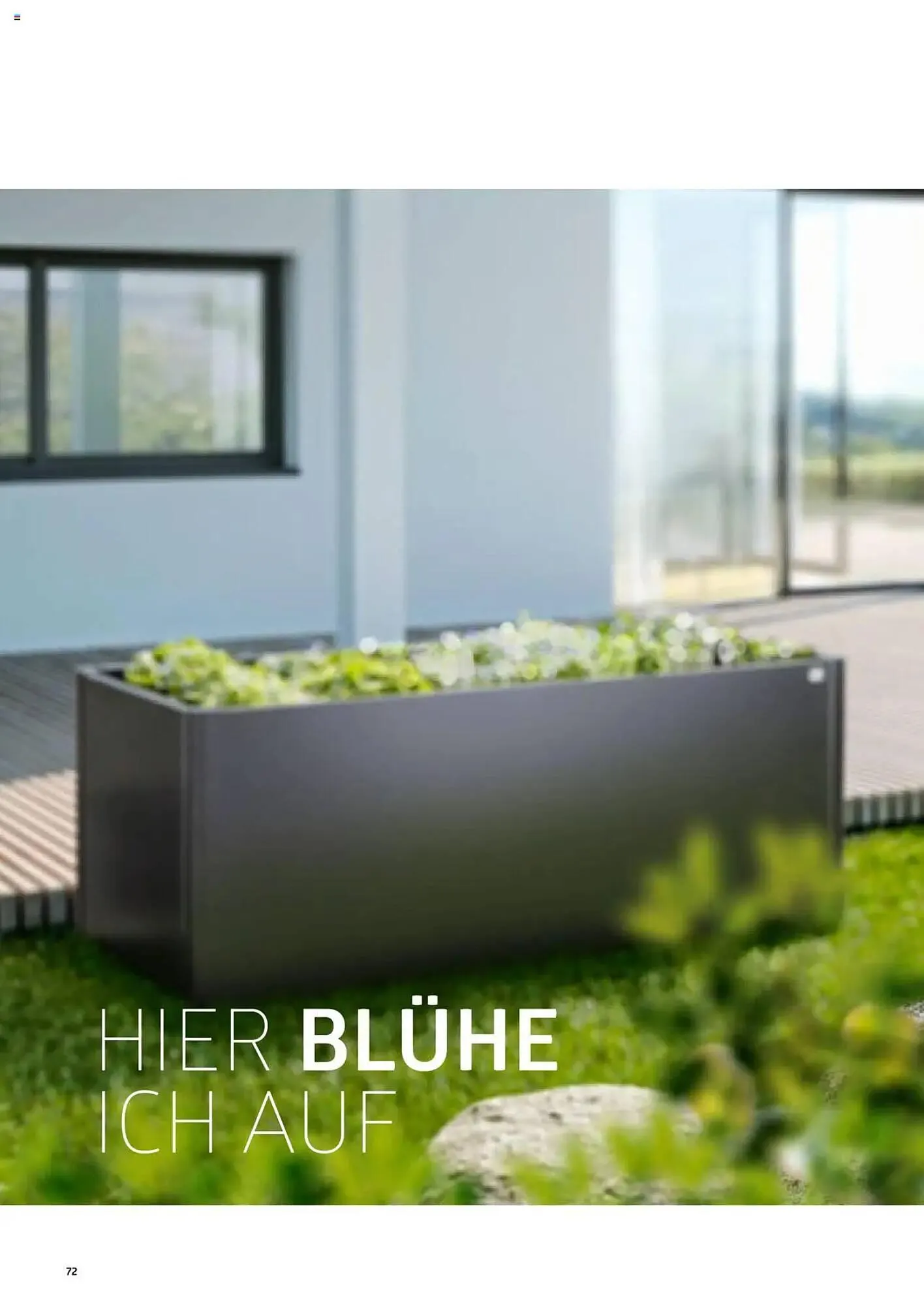 Dehner Flugblatt von 30. Dezember bis 3. Februar 2025 - Flugblätt seite 72