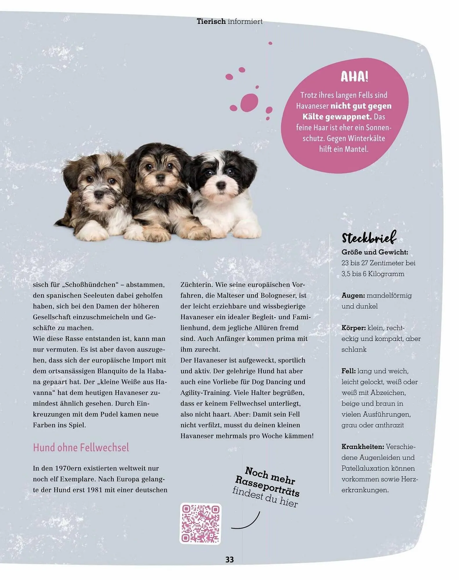 Fressnapf Flugblatt von 30. August bis 31. Oktober 2023 - Flugblätt seite  33