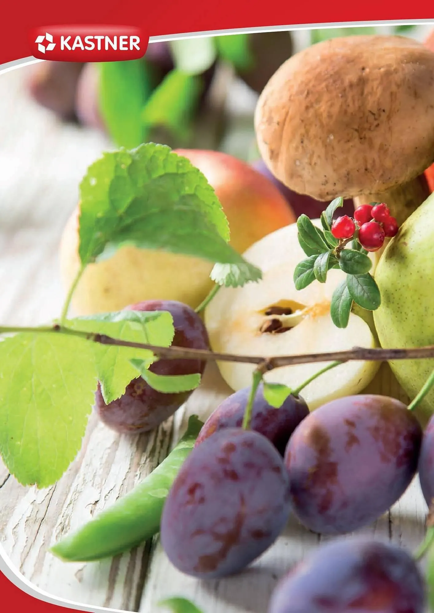 Kastner Flugblatt von 15. September bis 30. Dezember 2023 - Flugblätt seite  30