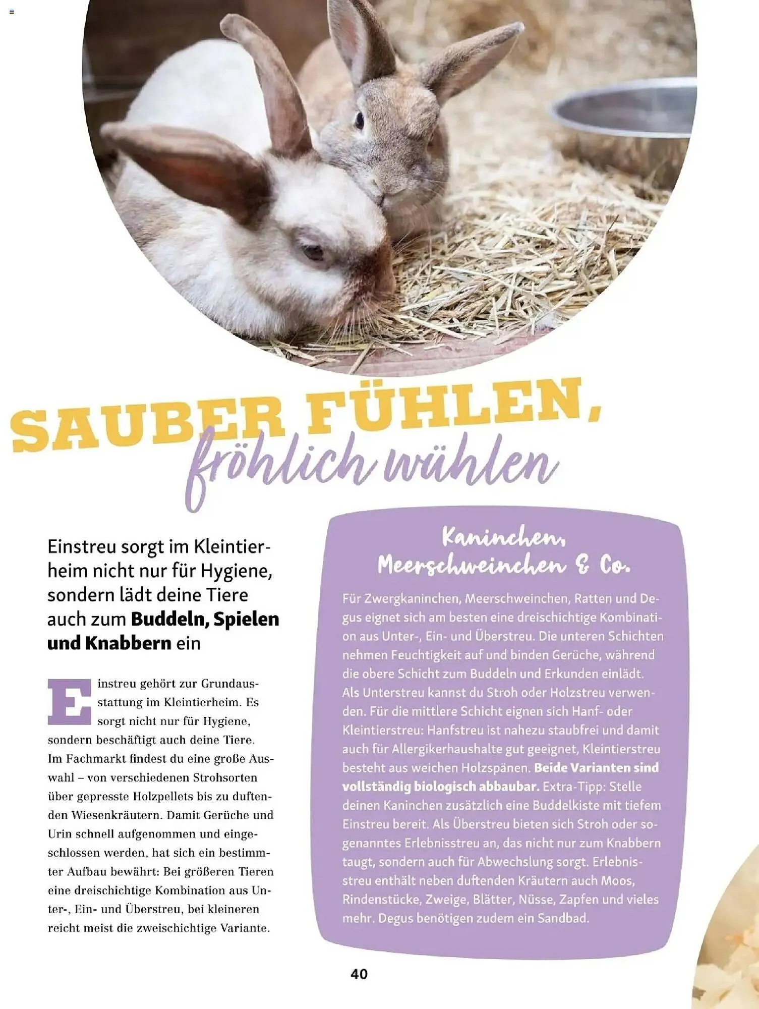 Fressnapf Flugblatt von 1. Jänner bis 28. Februar 2026 - Flugblätt seite  40