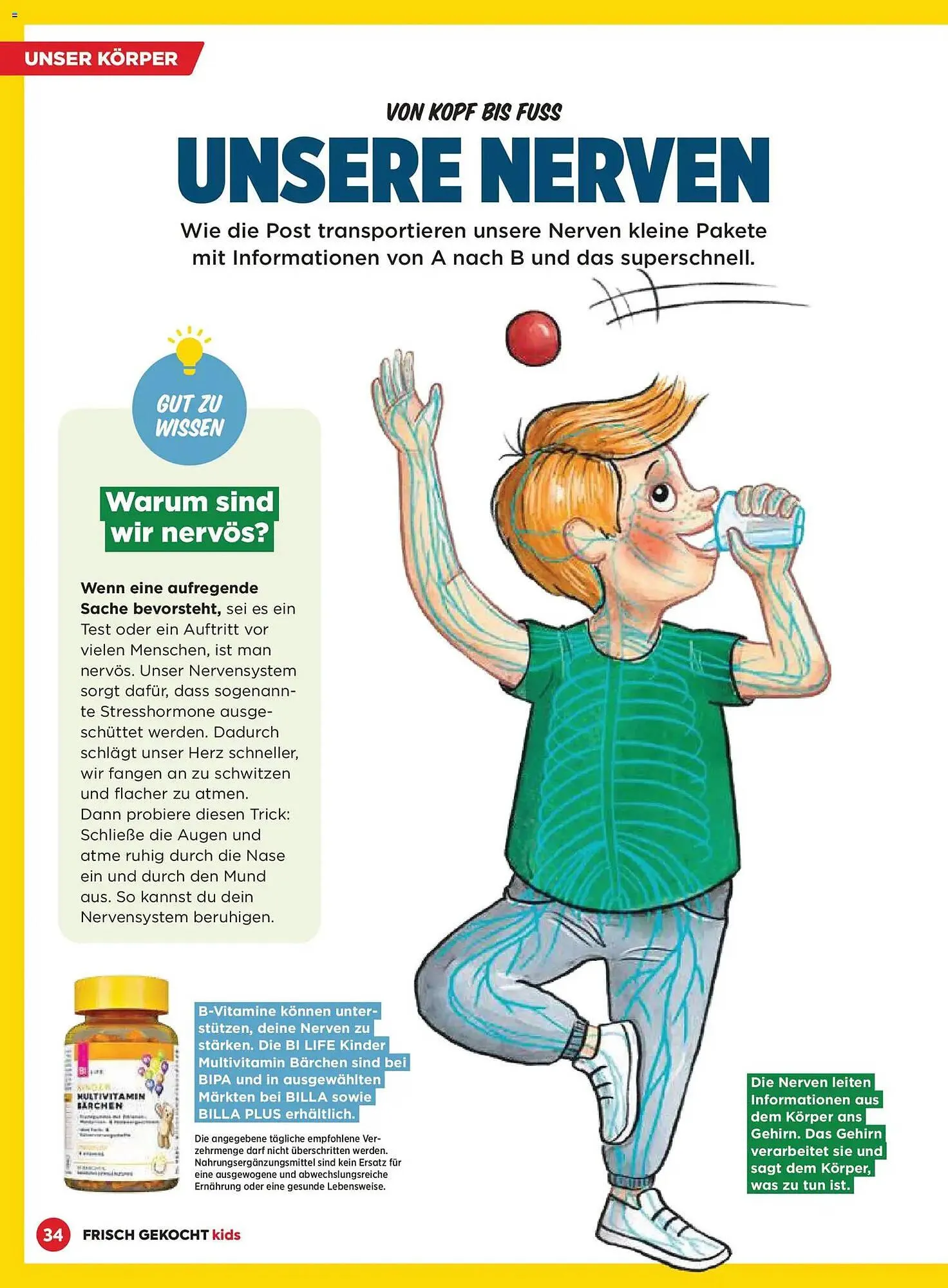 Billa Flugblatt von 1. Dezember bis 28. Februar 2026 - Flugblätt seite  34