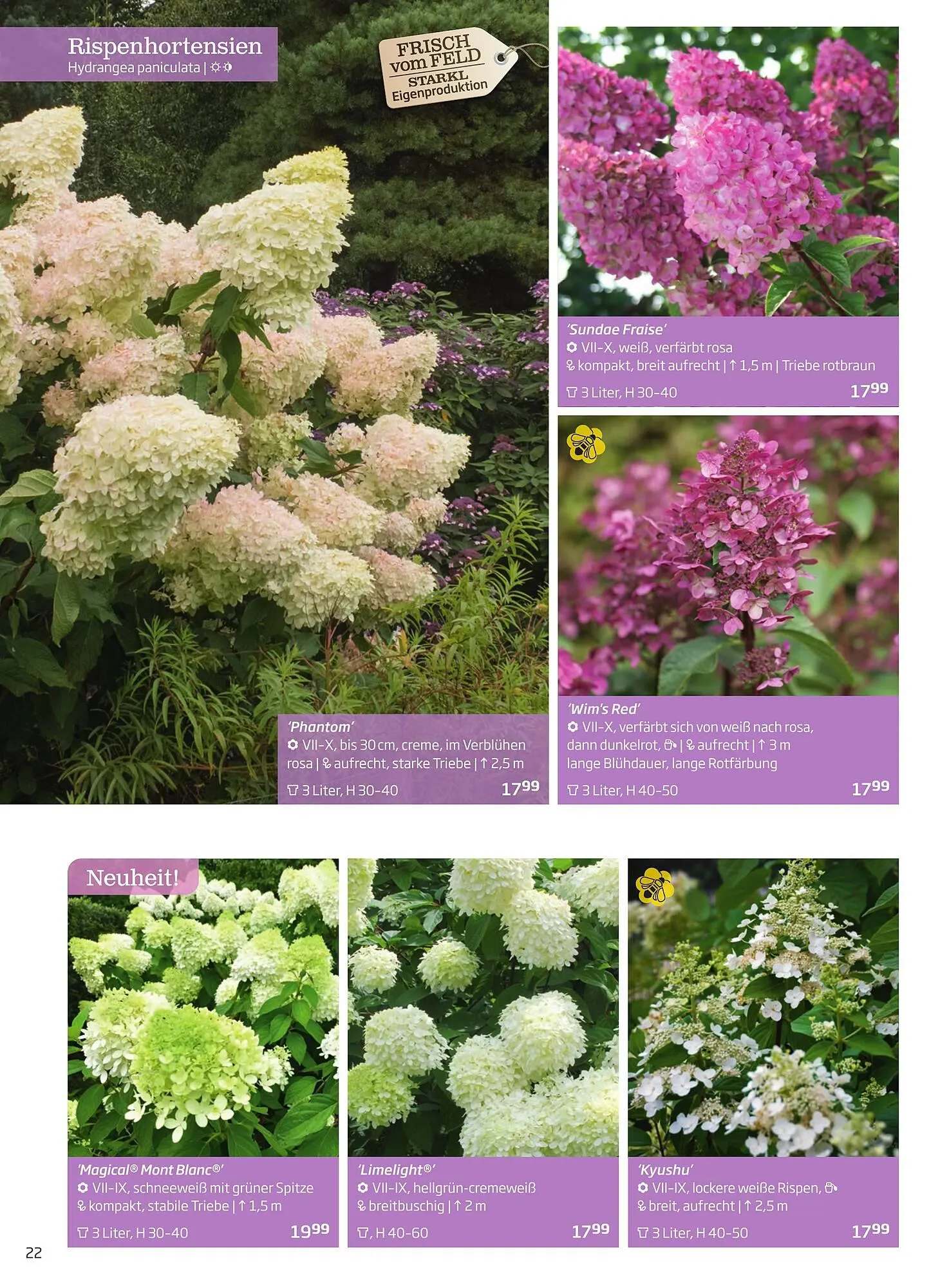 Starkl Flugblatt von 1. April bis 31. Dezember 2024 - Flugblätt seite 22