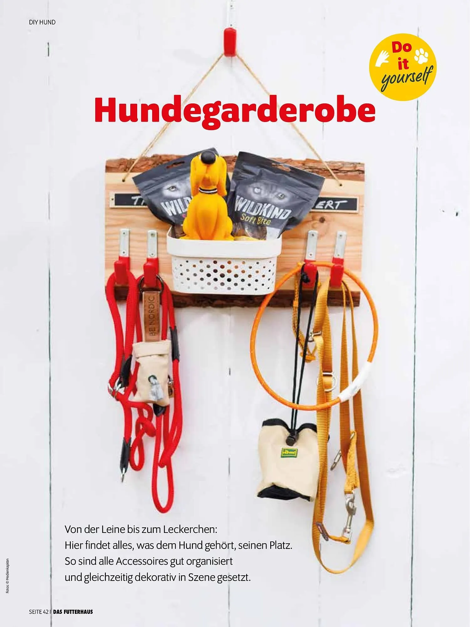 Das Futterhaus Prospekt von 16. Februar bis 8. März 2026 - Flugblätt seite  42