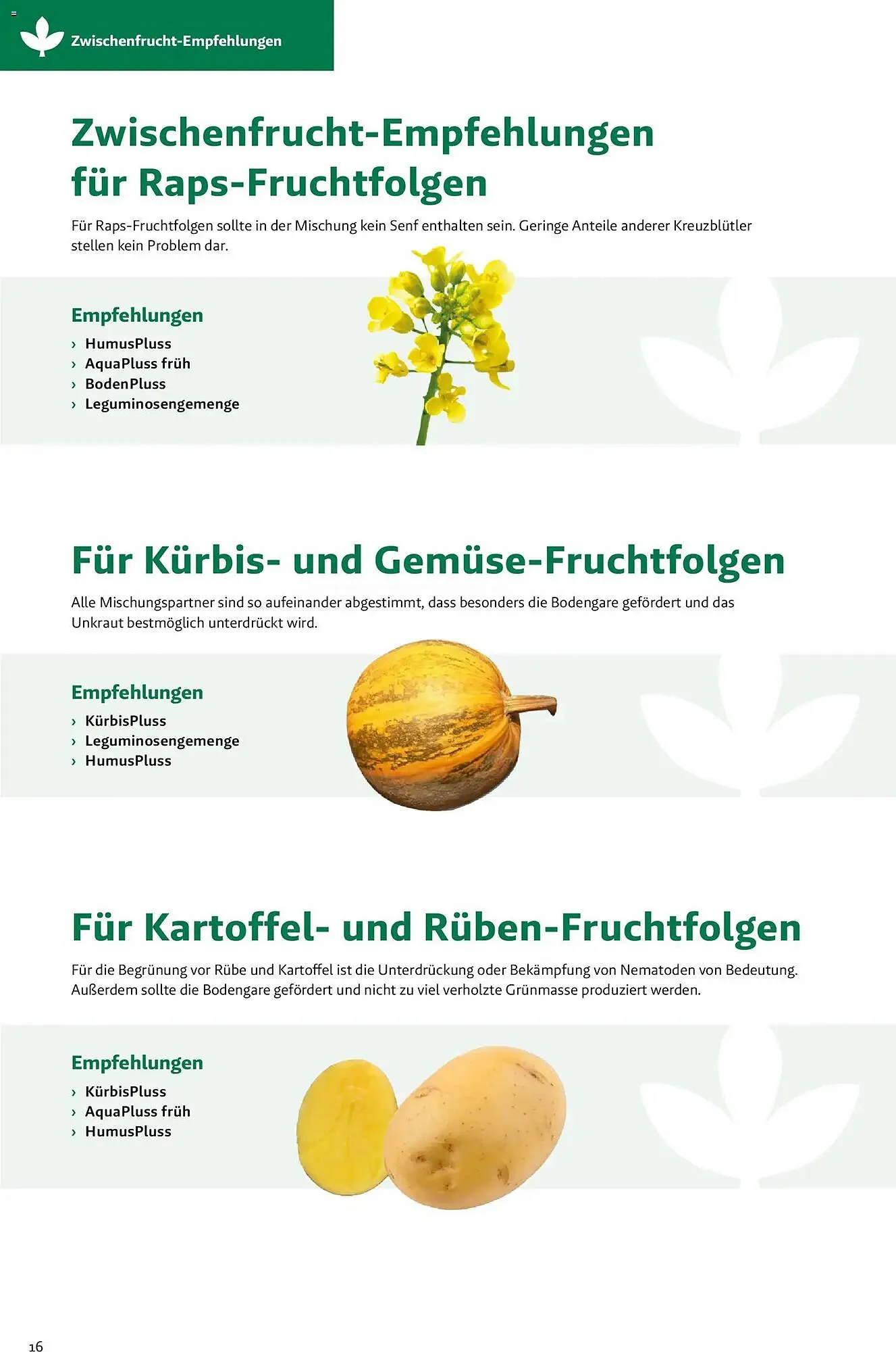 Lagerhaus Flugblatt von 26. März bis 26. September 2026 - Flugblätt seite  17
