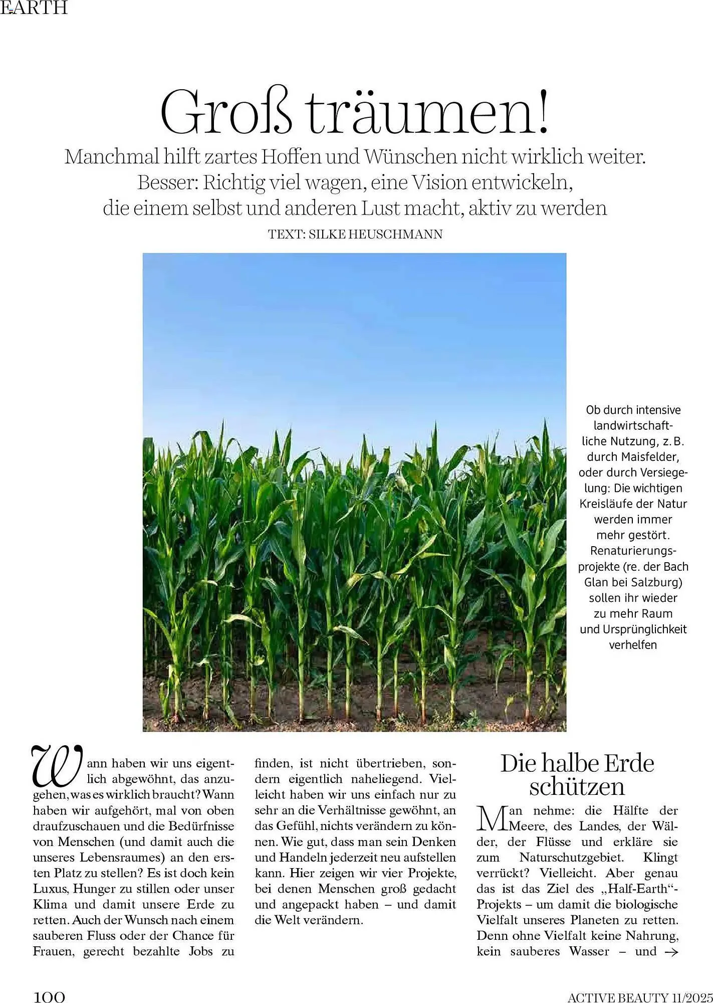 Dm Flugblatt von 1. November bis 30. November 2025 - Flugblätt seite  100