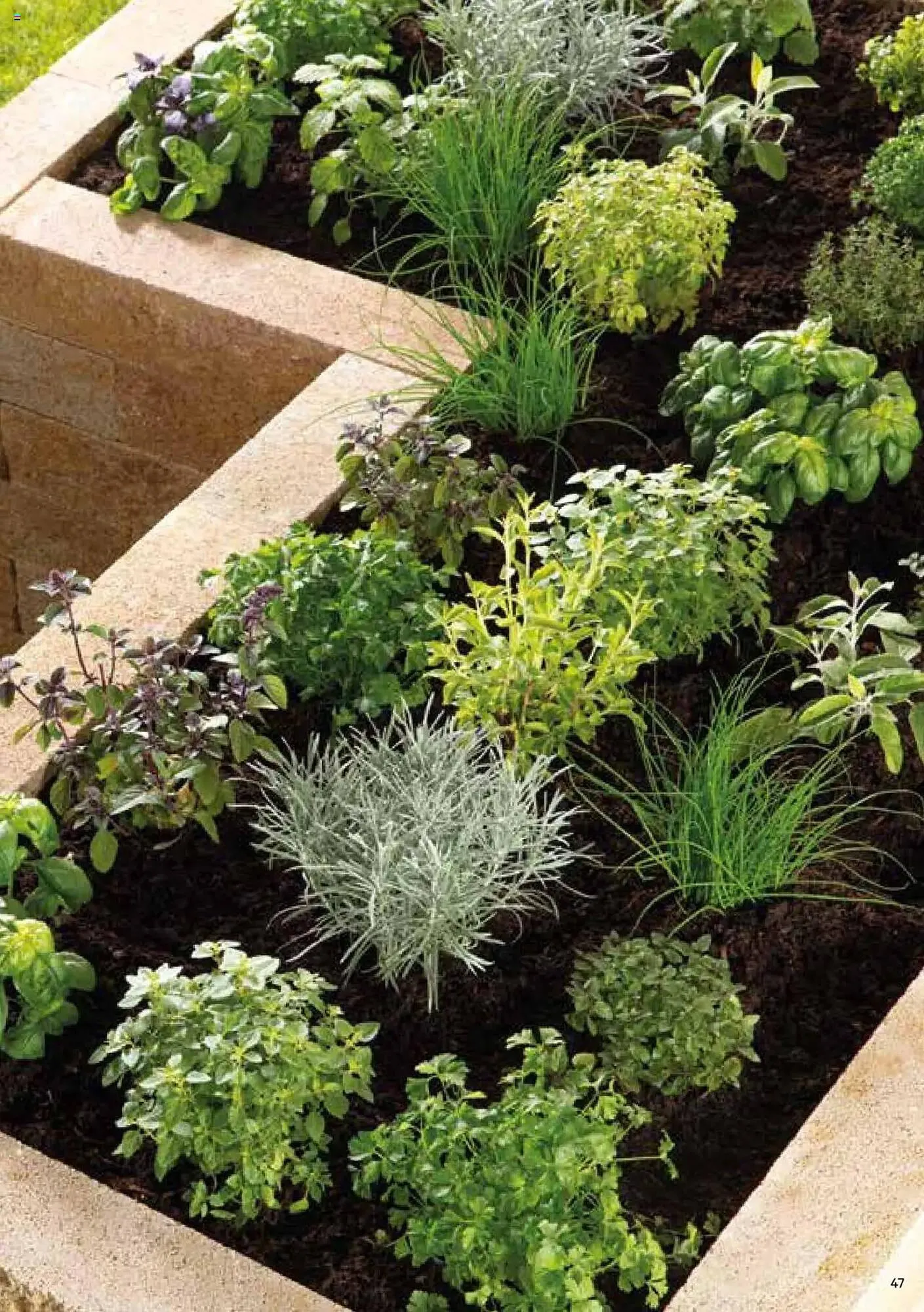 Lagerhaus Flugblatt von 8. Jänner bis 31. Dezember 2025 - Flugblätt seite  47