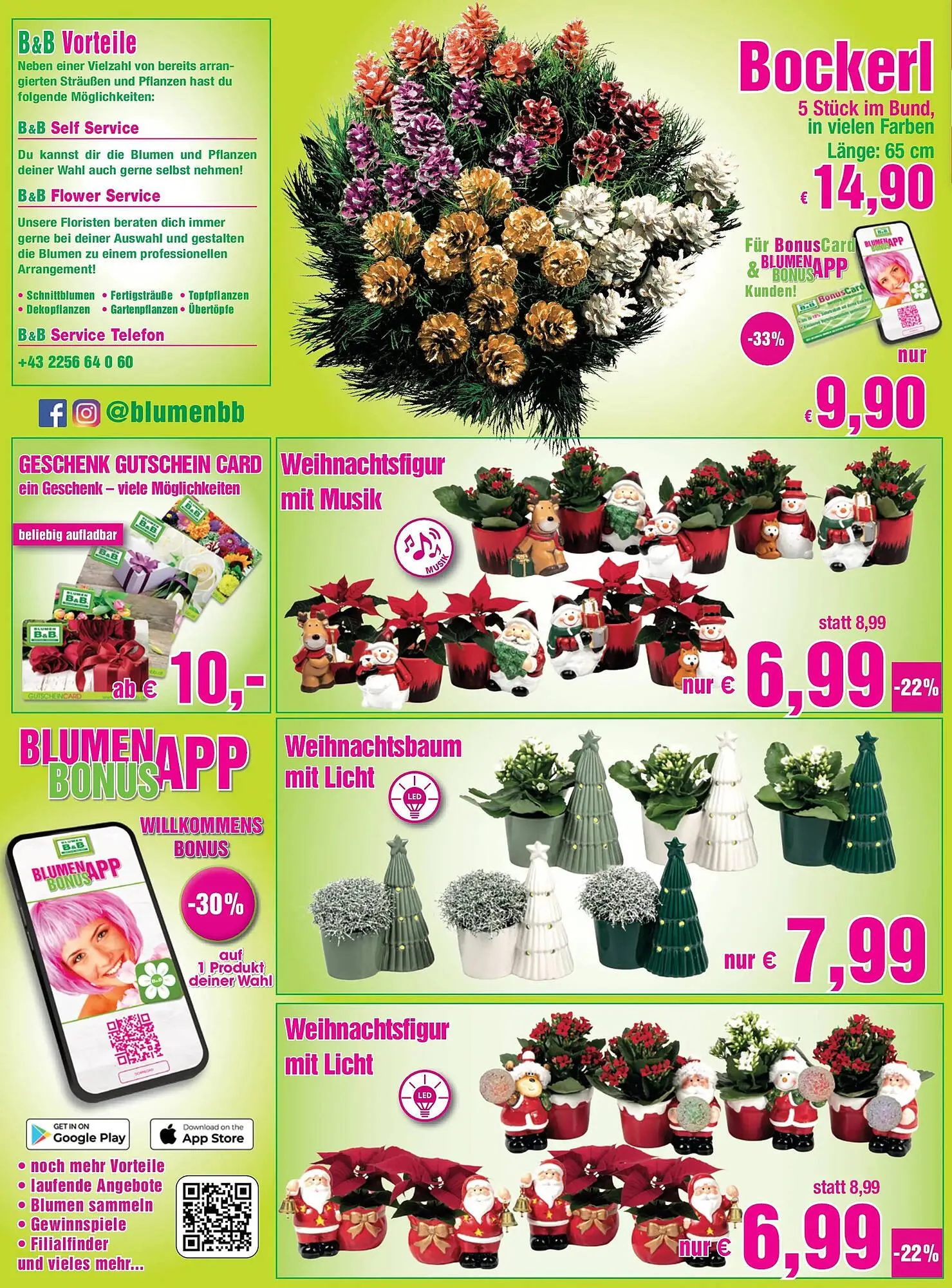 Blumen B&B Flugblatt von 14. November bis 25. November 2025 - Flugblätt seite 4