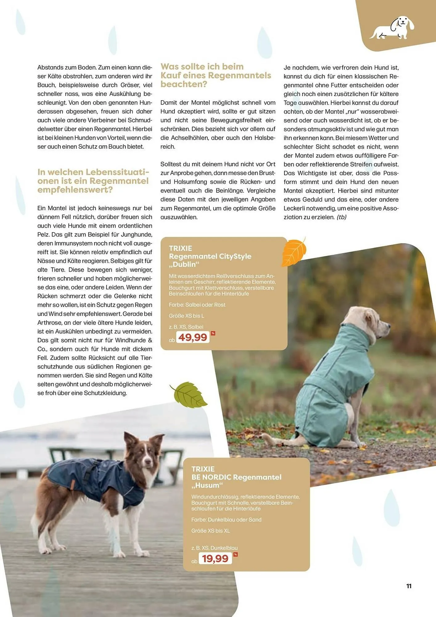 ZOO & Co Flugblatt von 30. August bis 8. November 2024 - Flugblätt seite 11