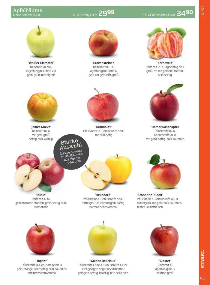 Gartencenter Jahreskatalog 2024 von 20. Mai bis 31. Dezember 2024 - Flugblätt seite 103