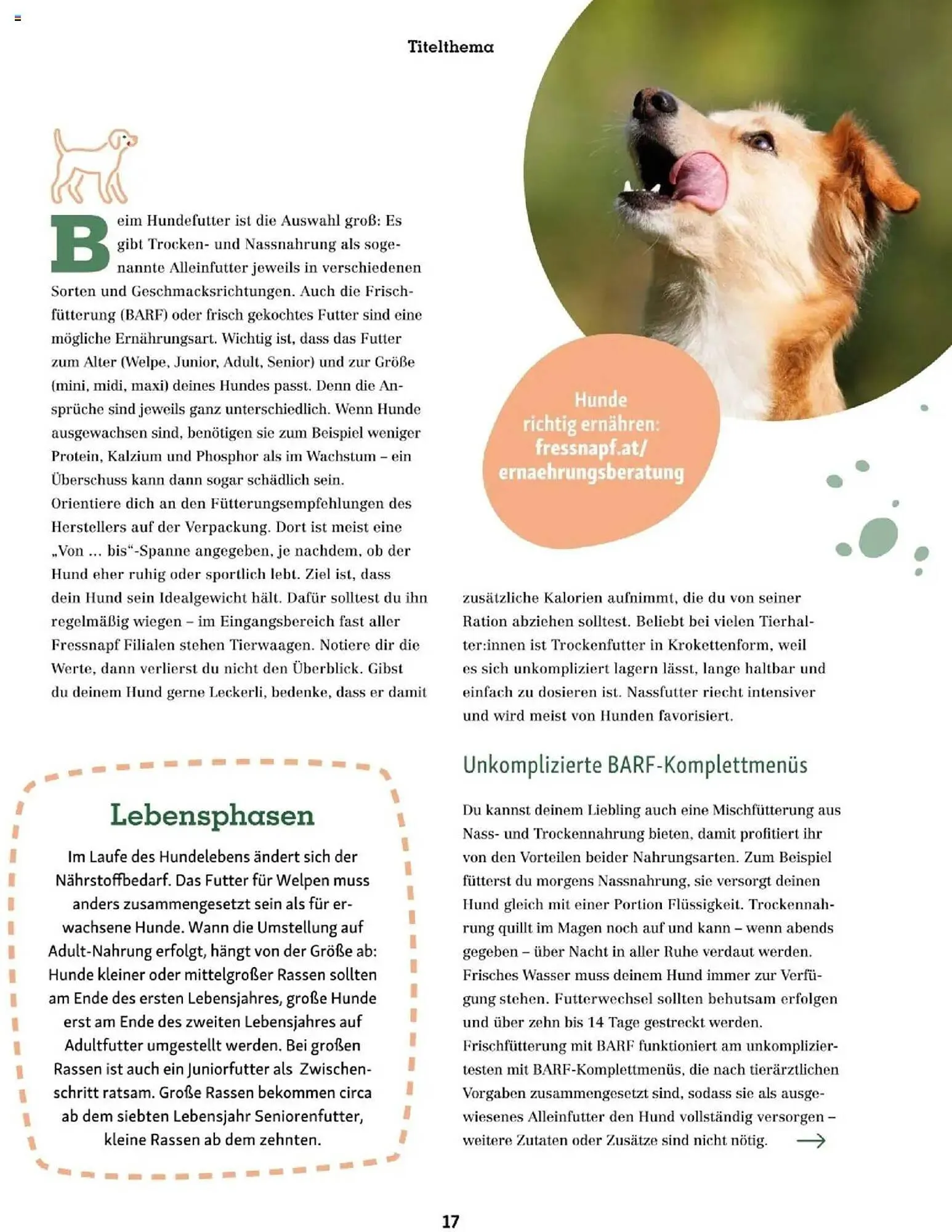 Fressnapf Flugblatt von 1. September bis 31. Oktober 2025 - Flugblätt seite  17