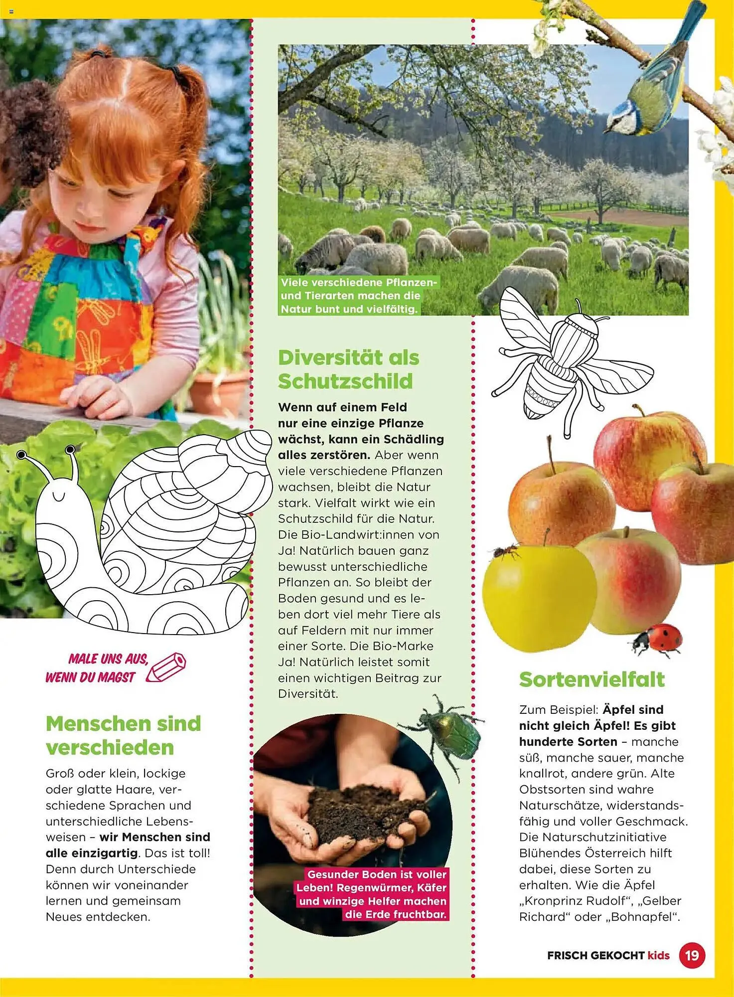 Billa Flugblatt von 1. März bis 31. Mai 2026 - Flugblätt seite  19