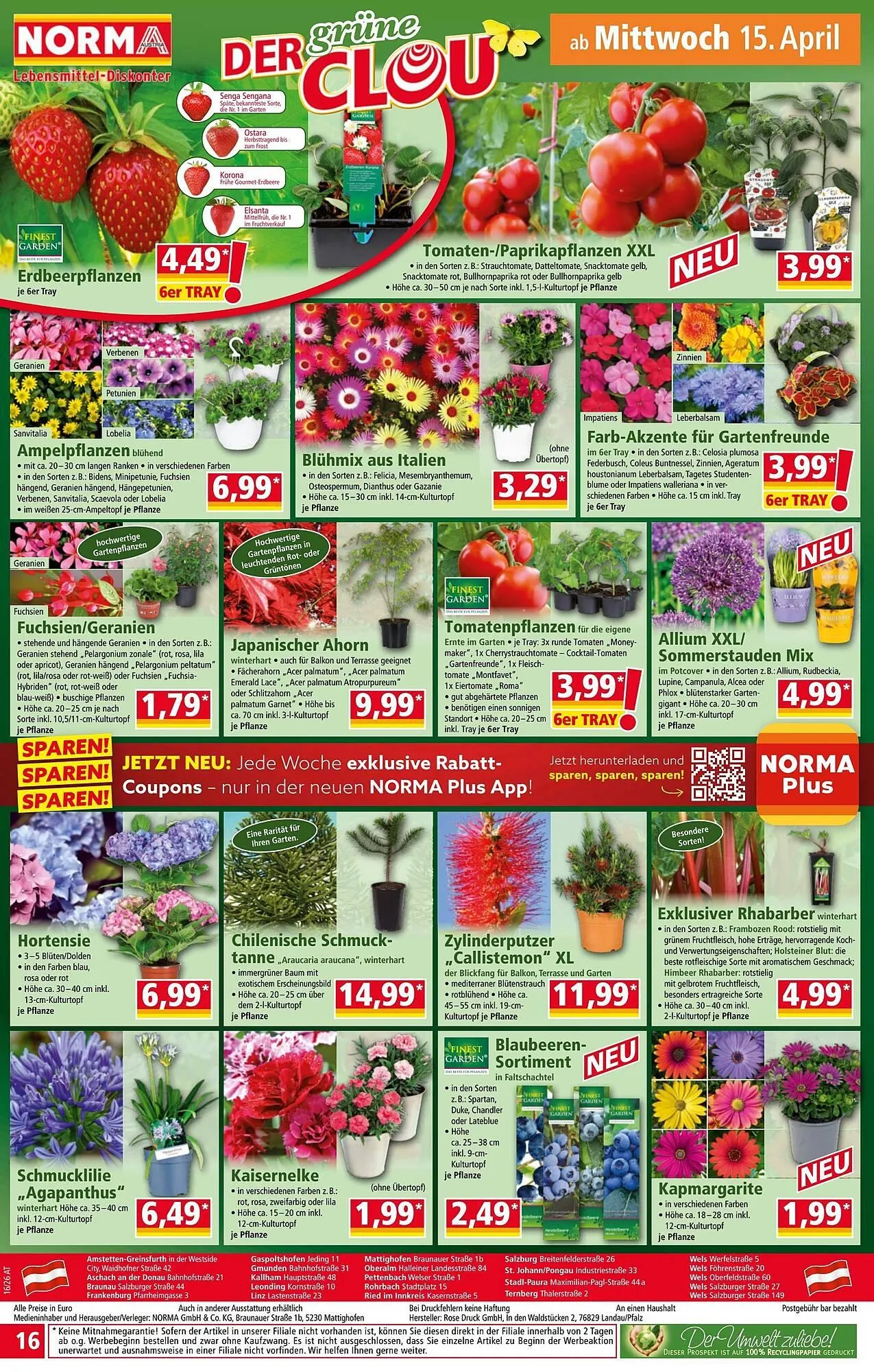 Norma Prospekt von 13. April bis 19. April 2026 - Flugblätt seite  16