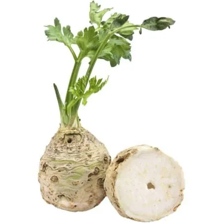 Sellerie ca. 1 Stück