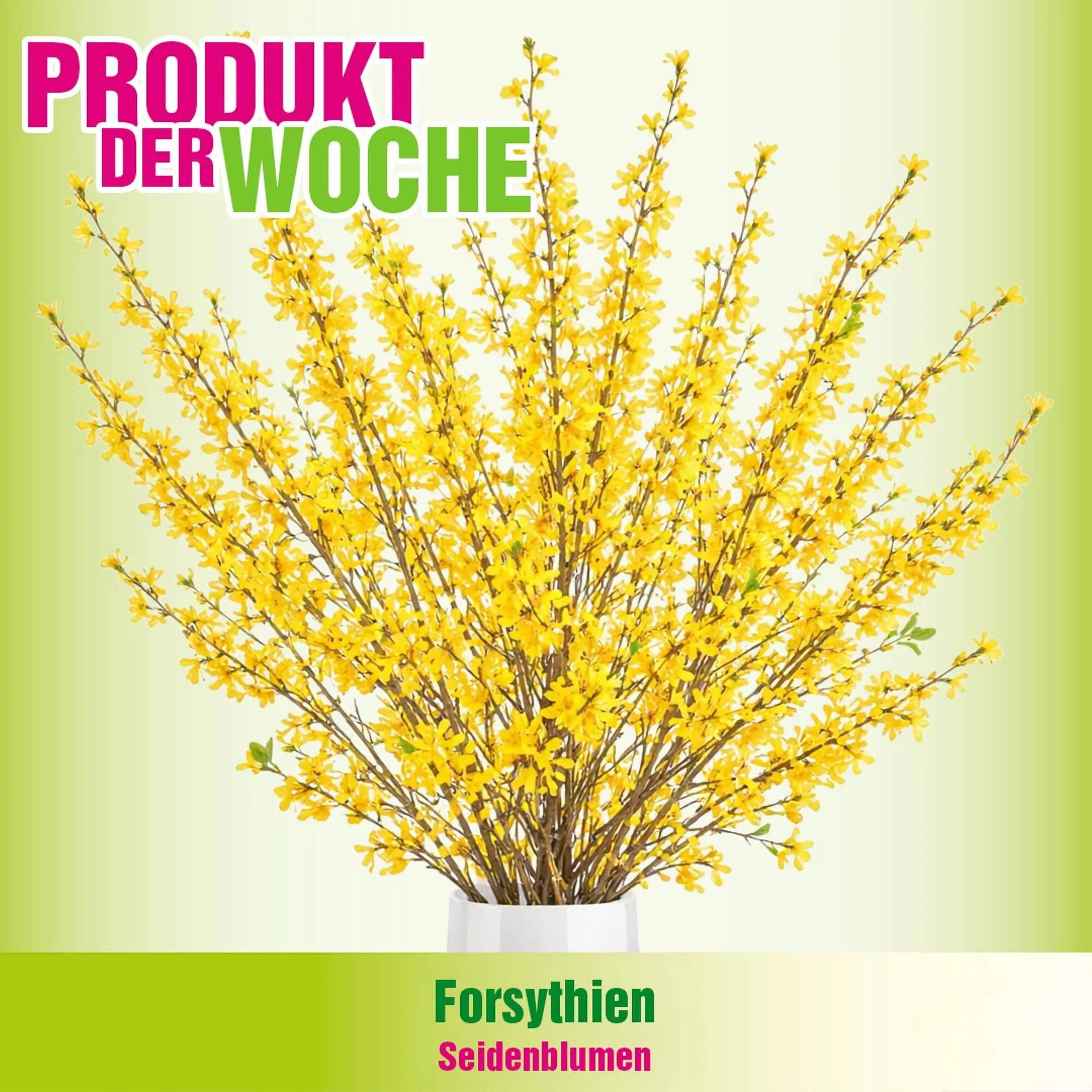 Blumen B&B Flugblatt von 18. Februar bis 3. März 2026 - Flugblätt seite  2