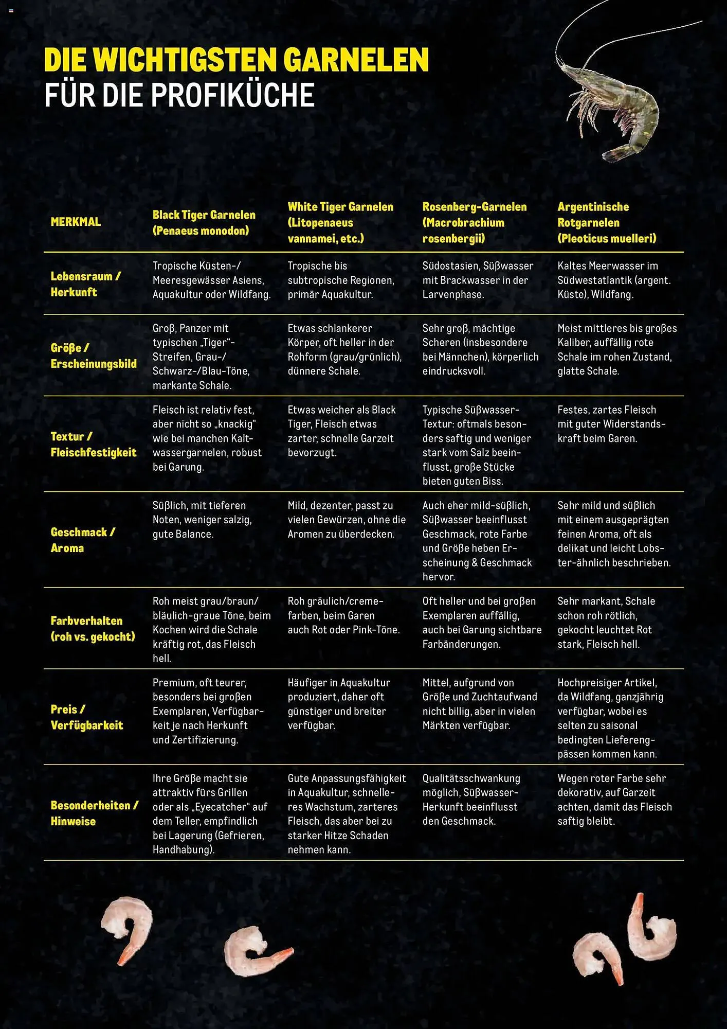 Metro Flugblatt von 27. November bis 31. Dezember 2025 - Flugblätt seite 3