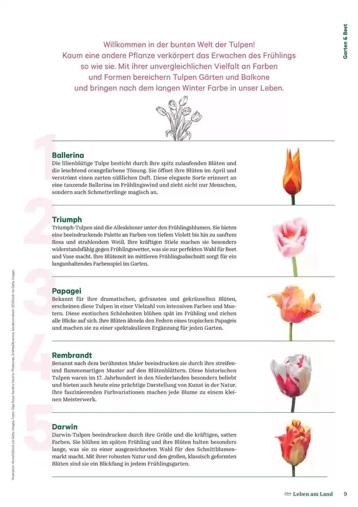 Nr. 1 - Lagerhaus Magazin 2025 von 28. Jänner bis 11. Februar 2025 - Flugblätt seite  9