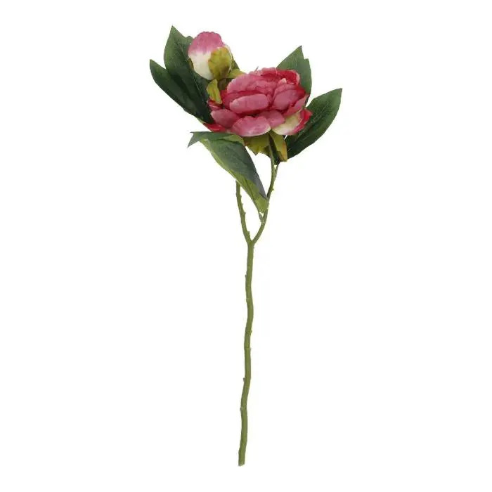 Pfingstrose Edel, pink, 48 cm