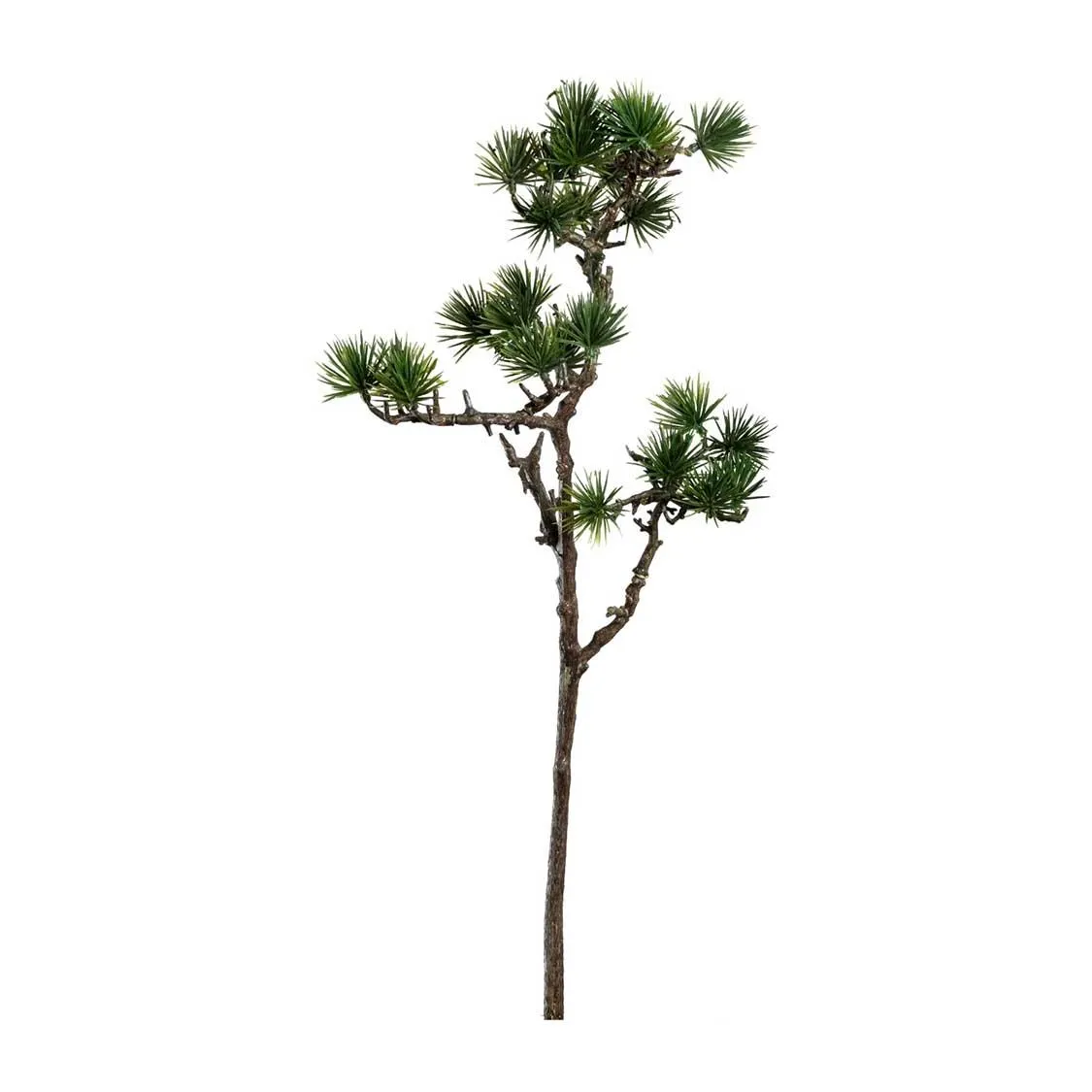 Japanischer Kiefernzweig SILENZIO 62 cm