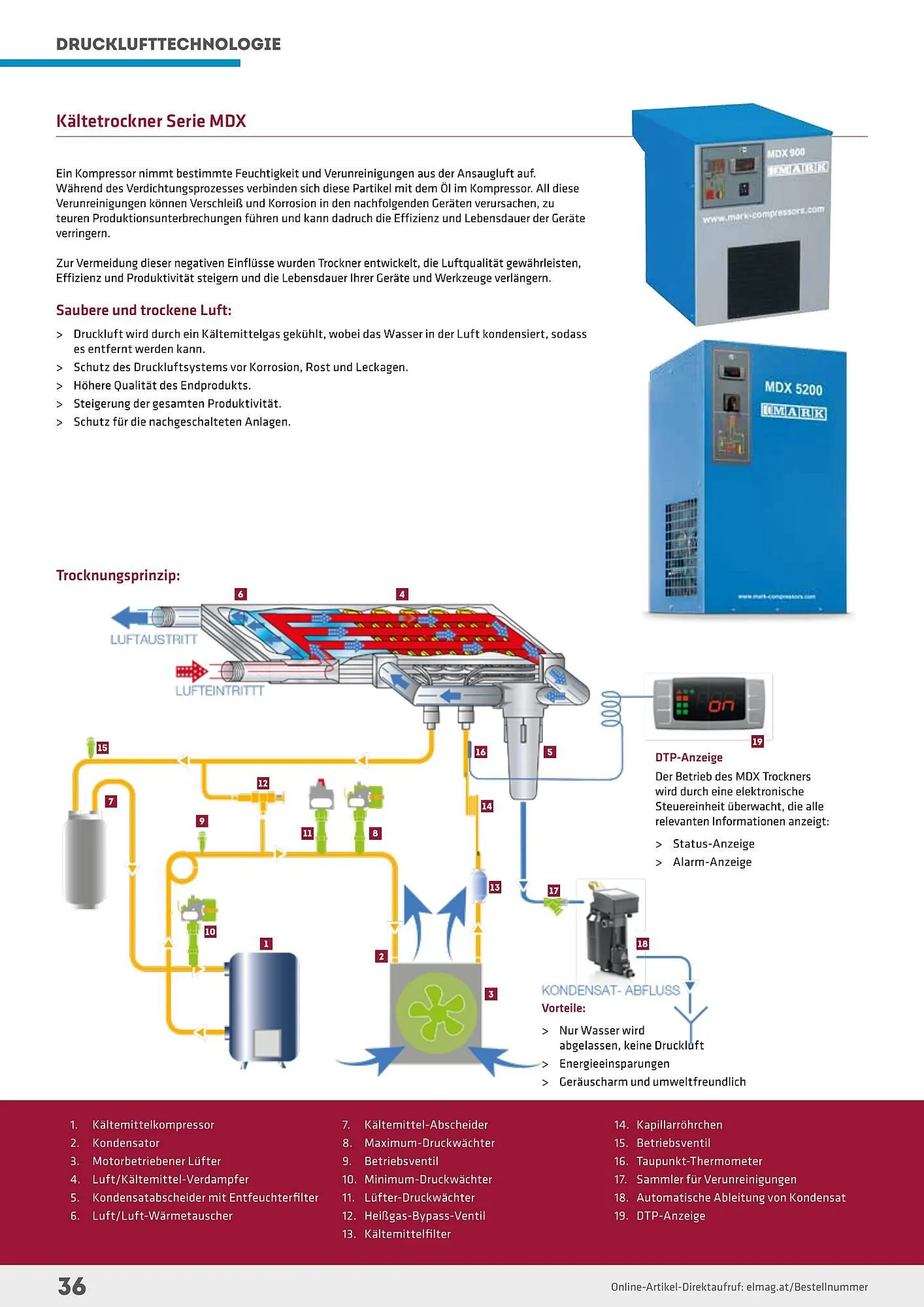 Salzburger Lagerhaus Flugblatt von 1. Mai bis 31. Dezember 2024 - Flugblätt seite 36