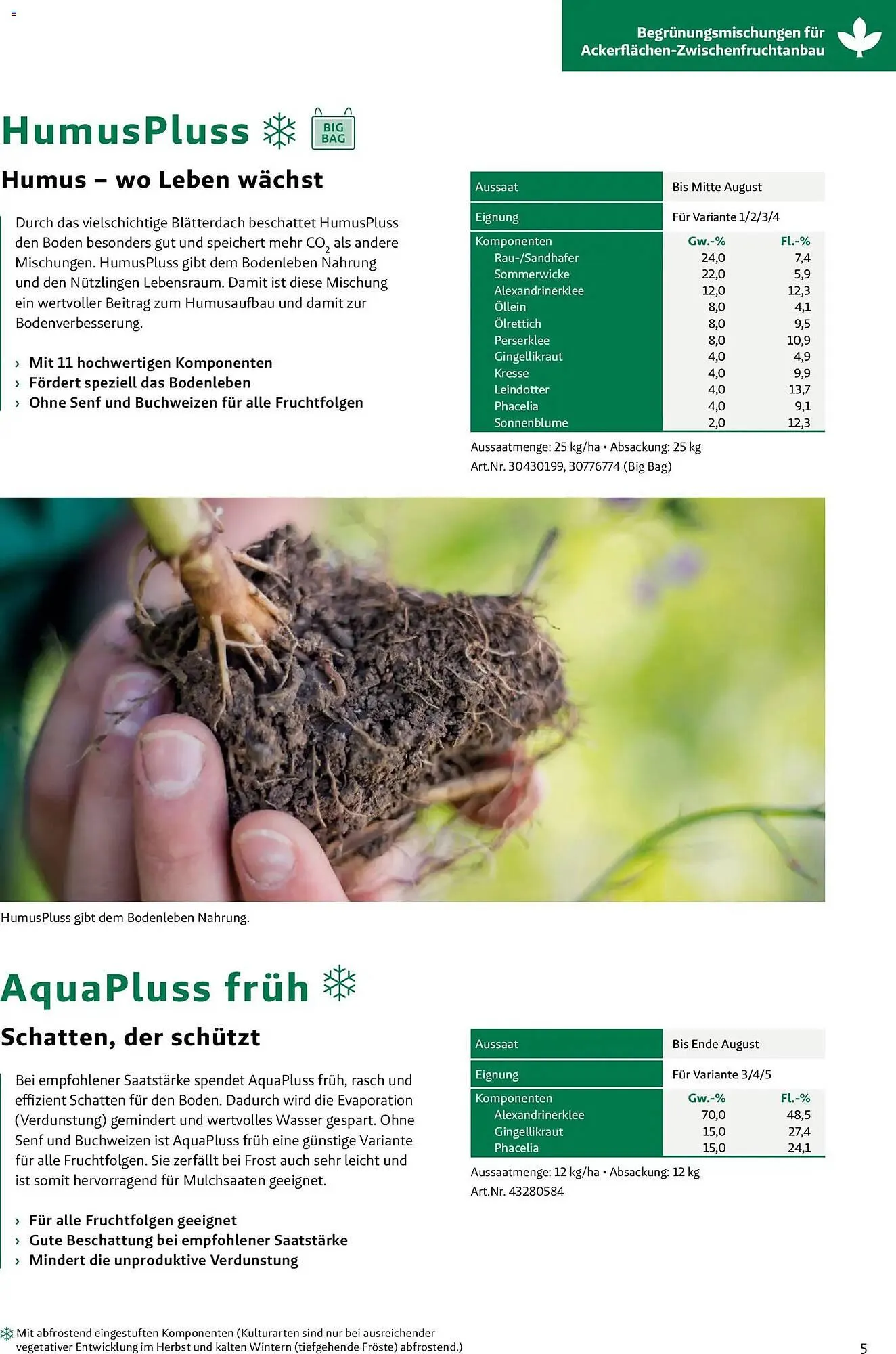 Lagerhaus Flugblatt von 26. März bis 26. September 2026 - Flugblätt seite 5