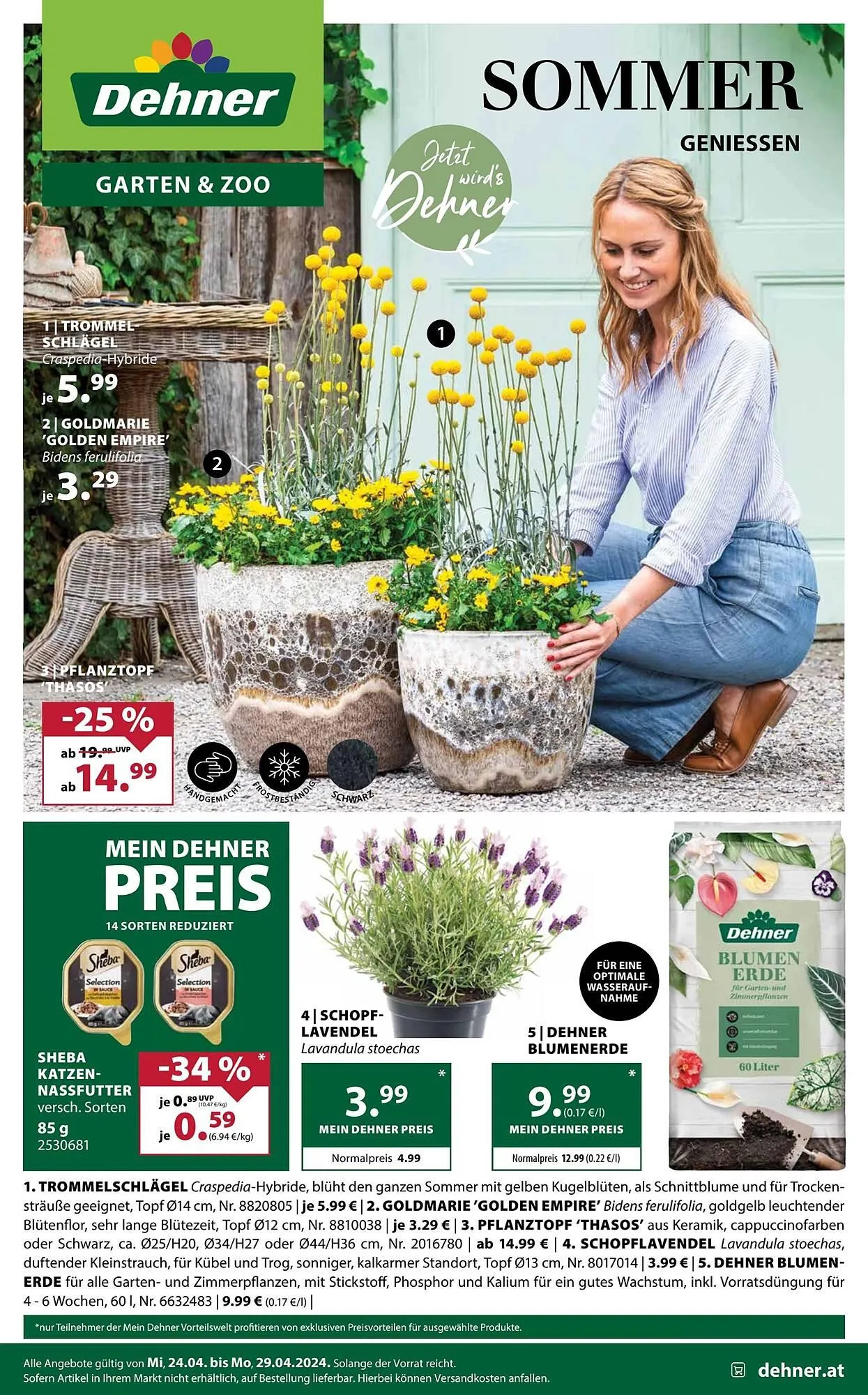 Dehner Flugblatt - 1