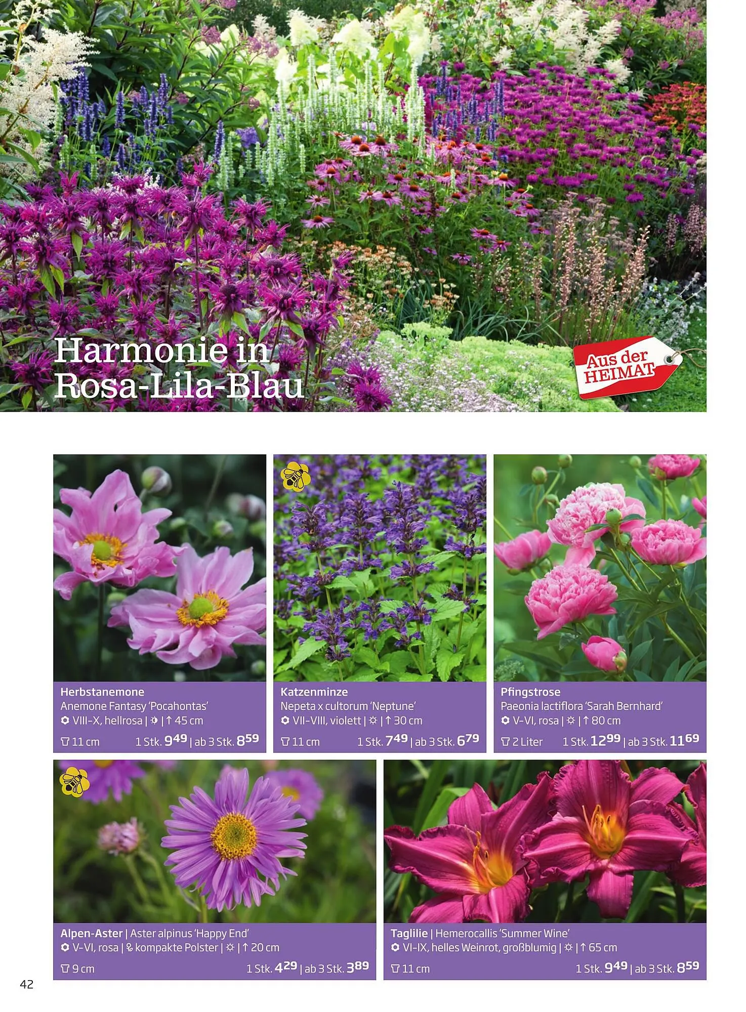 Starkl Flugblatt von 1. April bis 31. Dezember 2024 - Flugblätt seite  42