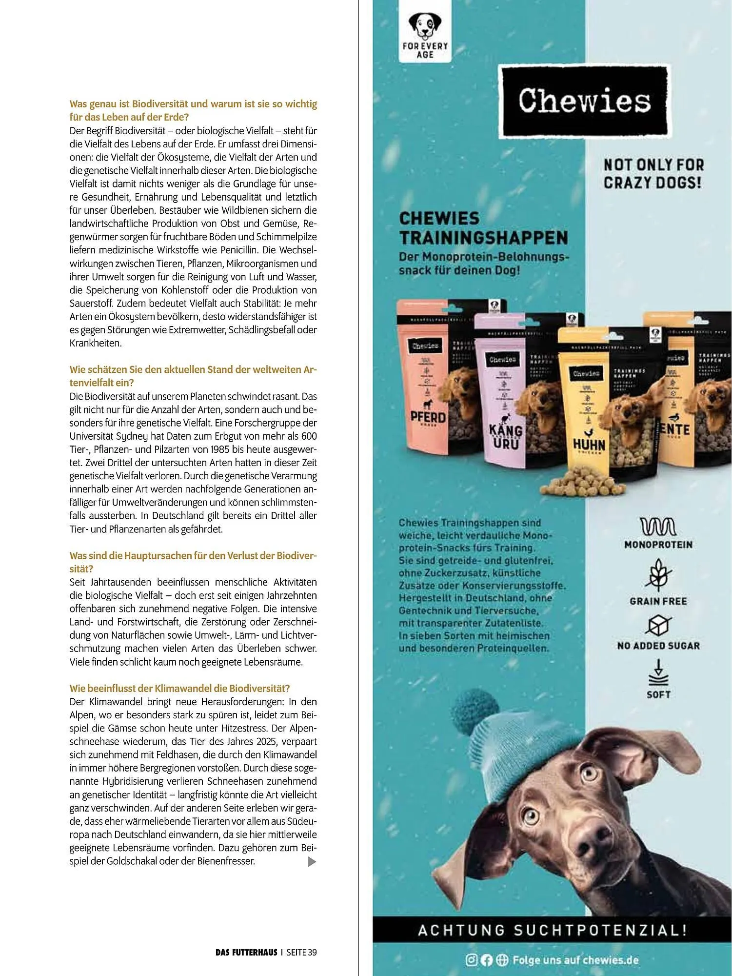 Das Futterhaus Prospekt von 17. Dezember bis 6. Jänner 2026 - Flugblätt seite  39