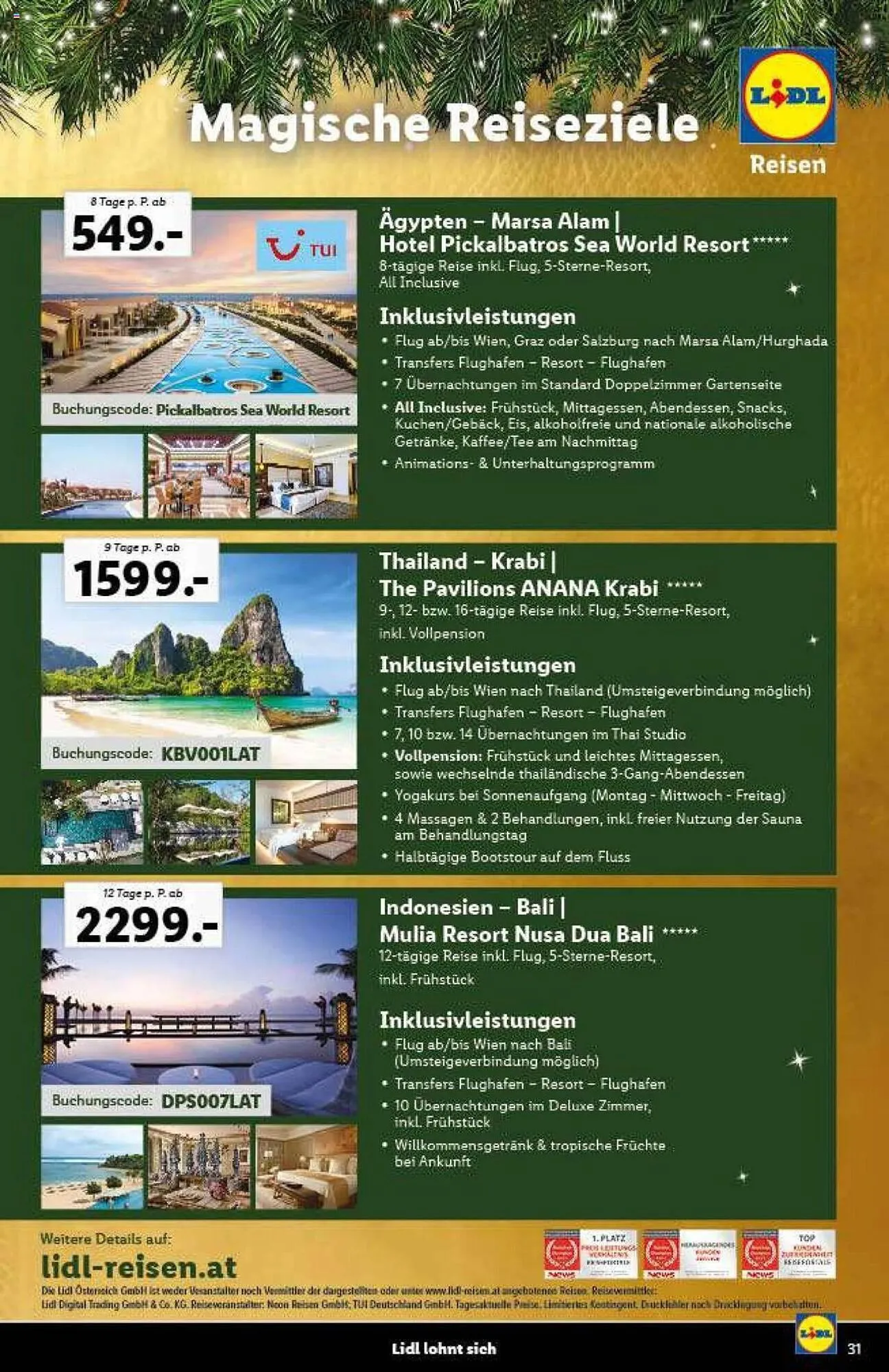 Lidl Flugblatt von 9. November bis 21. Dezember 2023 - Flugblätt seite  31