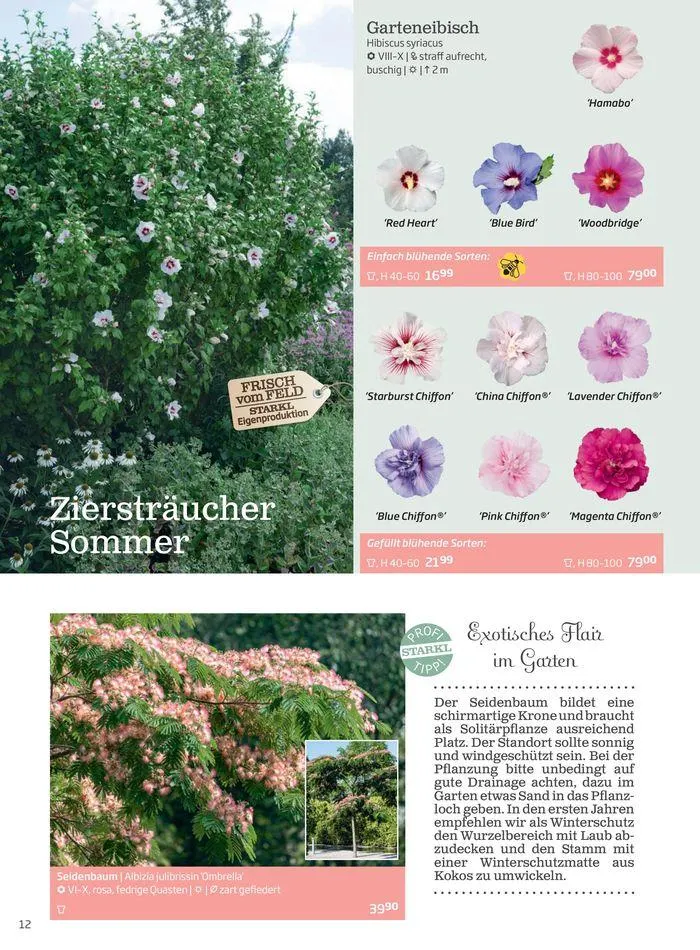 Gartencenter Jahreskatalog 2024 von 20. Mai bis 31. Dezember 2024 - Flugblätt seite 12