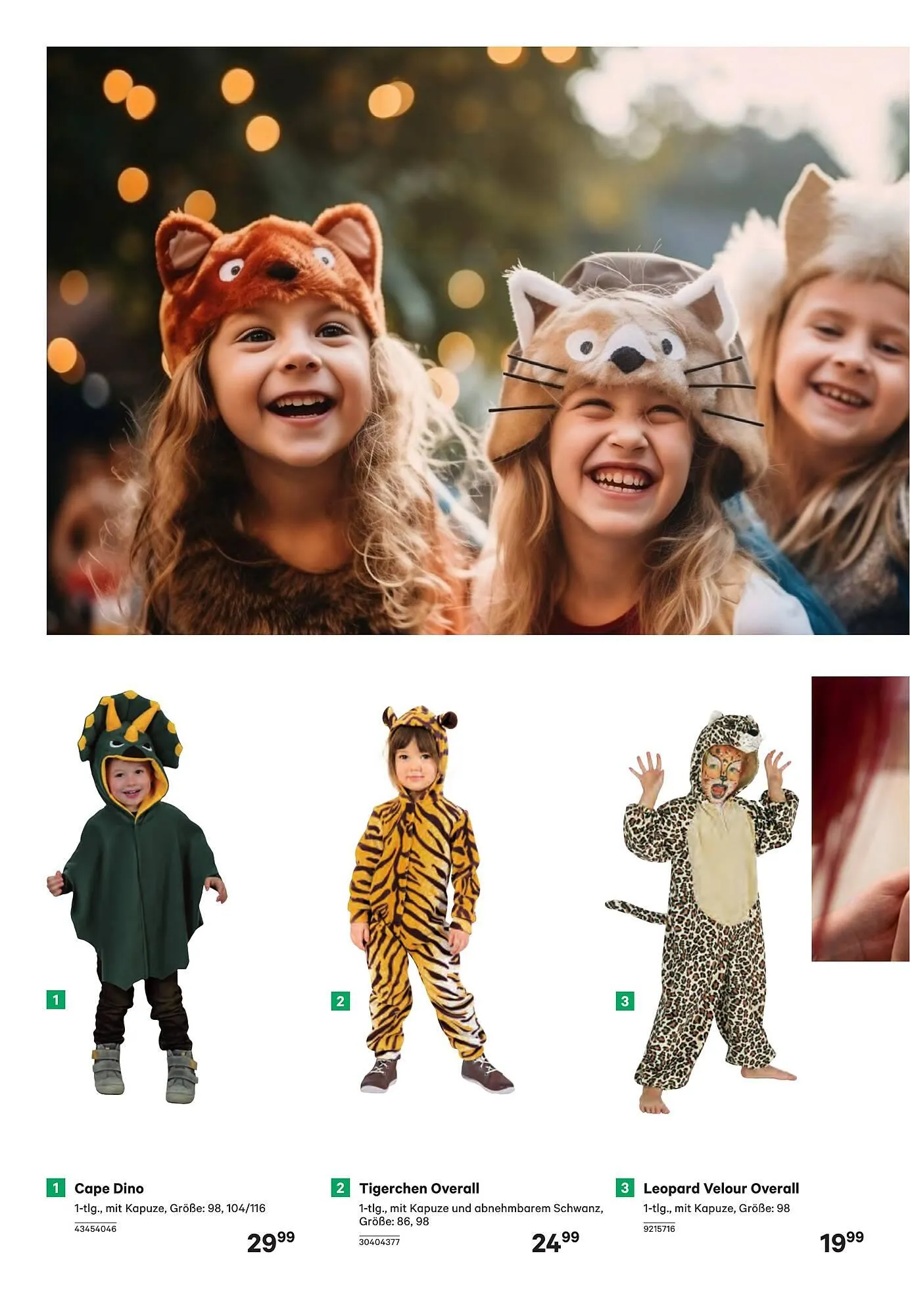 BayWa Prospekt von 7. Jänner bis 17. Februar 2026 - Flugblätt seite  6