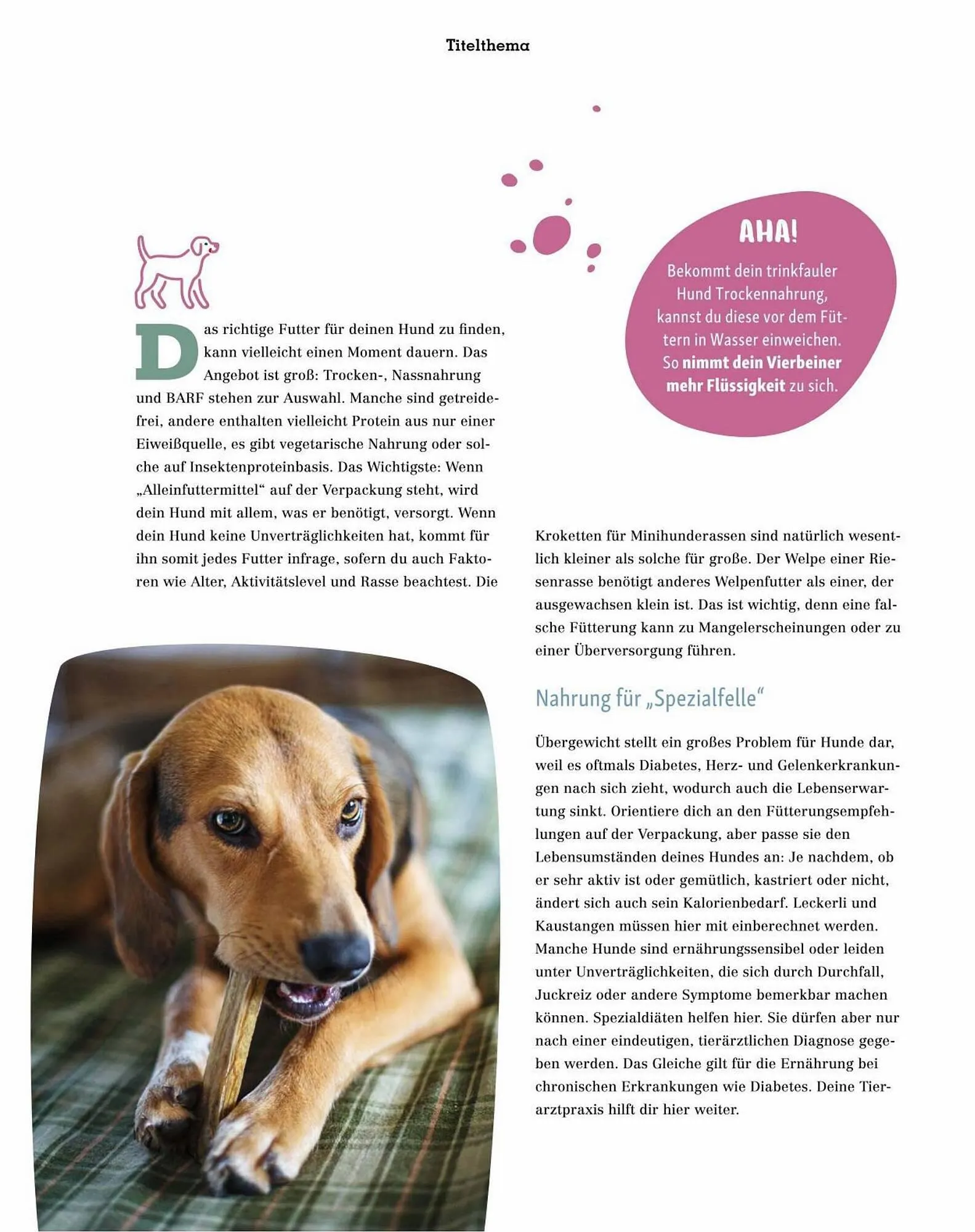 Fressnapf Flugblatt von 30. August bis 31. Oktober 2023 - Flugblätt seite  18