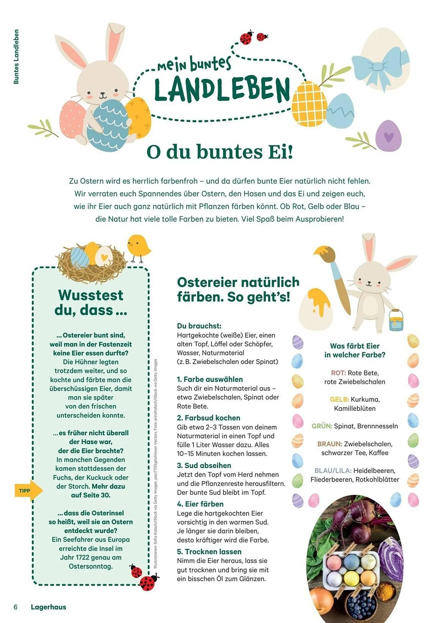 Lagerhaus Flugblatt von 1. Februar bis 28. Februar 2026 - Flugblätt seite  6