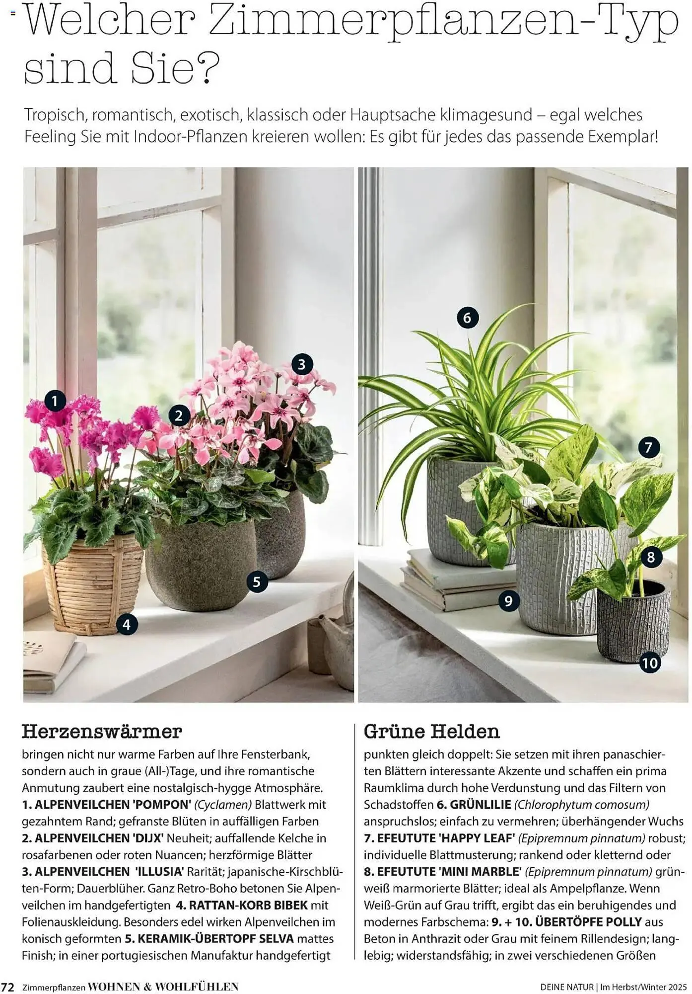 Dehner Flugblatt von 10. Oktober bis 30. November 2025 - Flugblätt seite 72