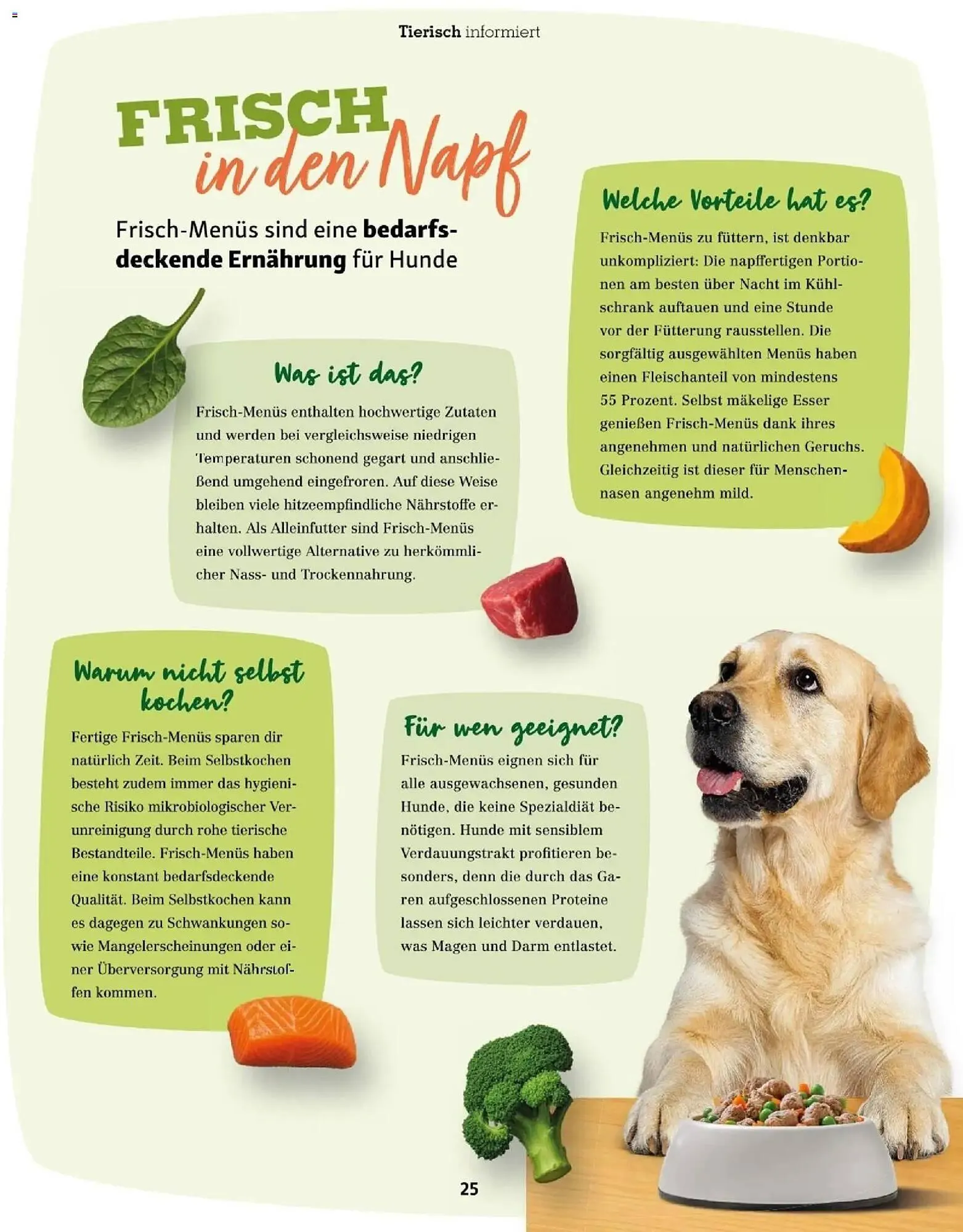 Fressnapf Flugblatt von 1. November bis 31. Dezember 2025 - Flugblätt seite  25